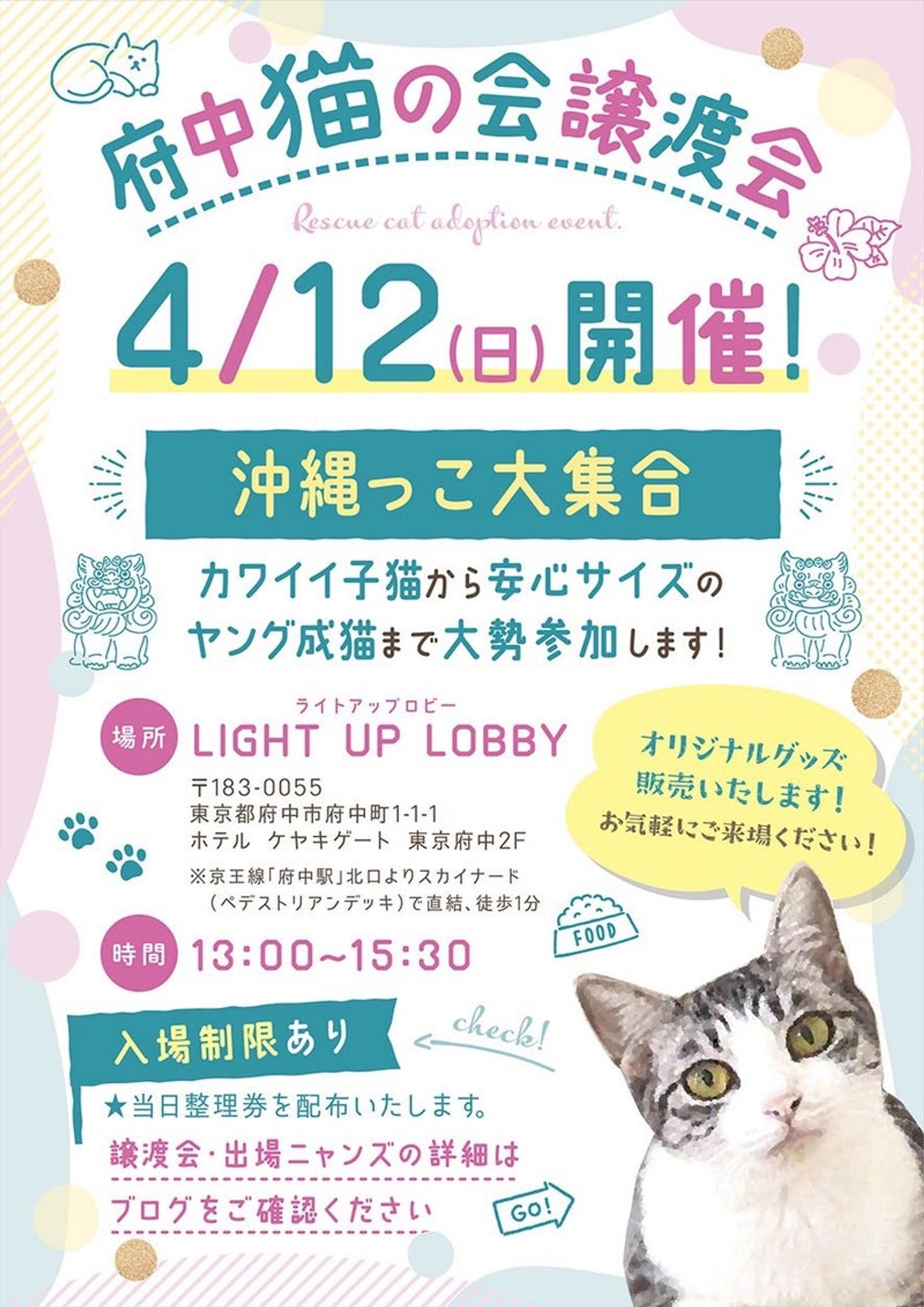 pet-image-5