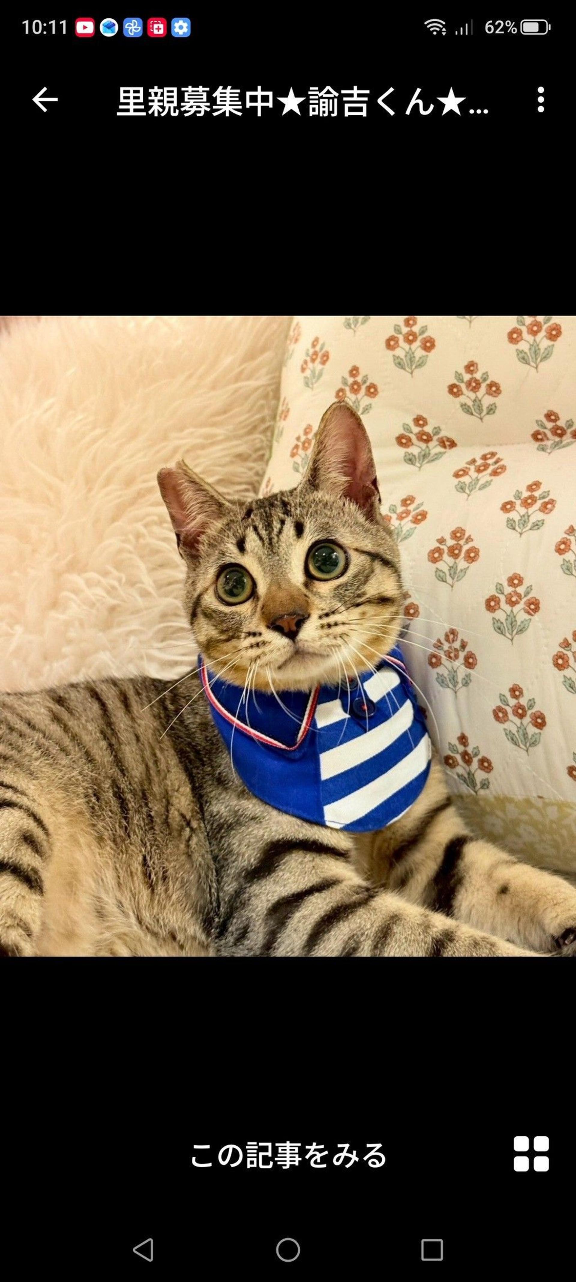 pet-image-2