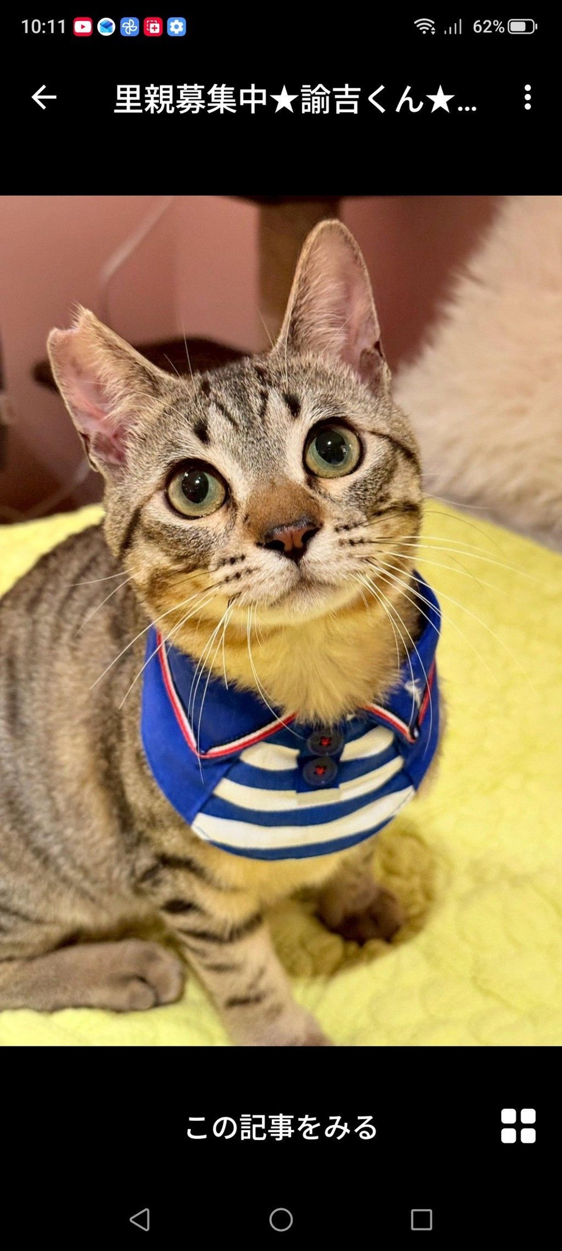 pet-image-3
