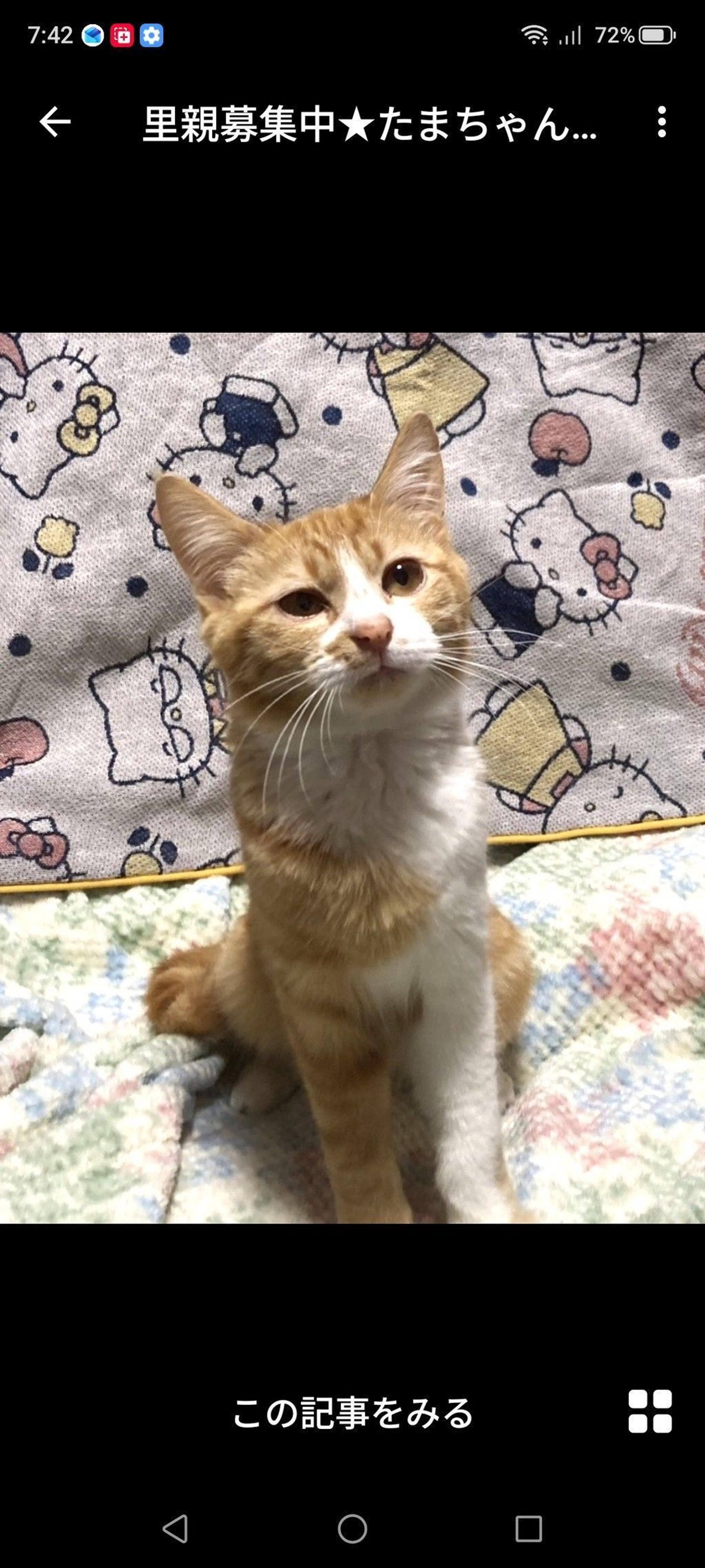pet-image-2