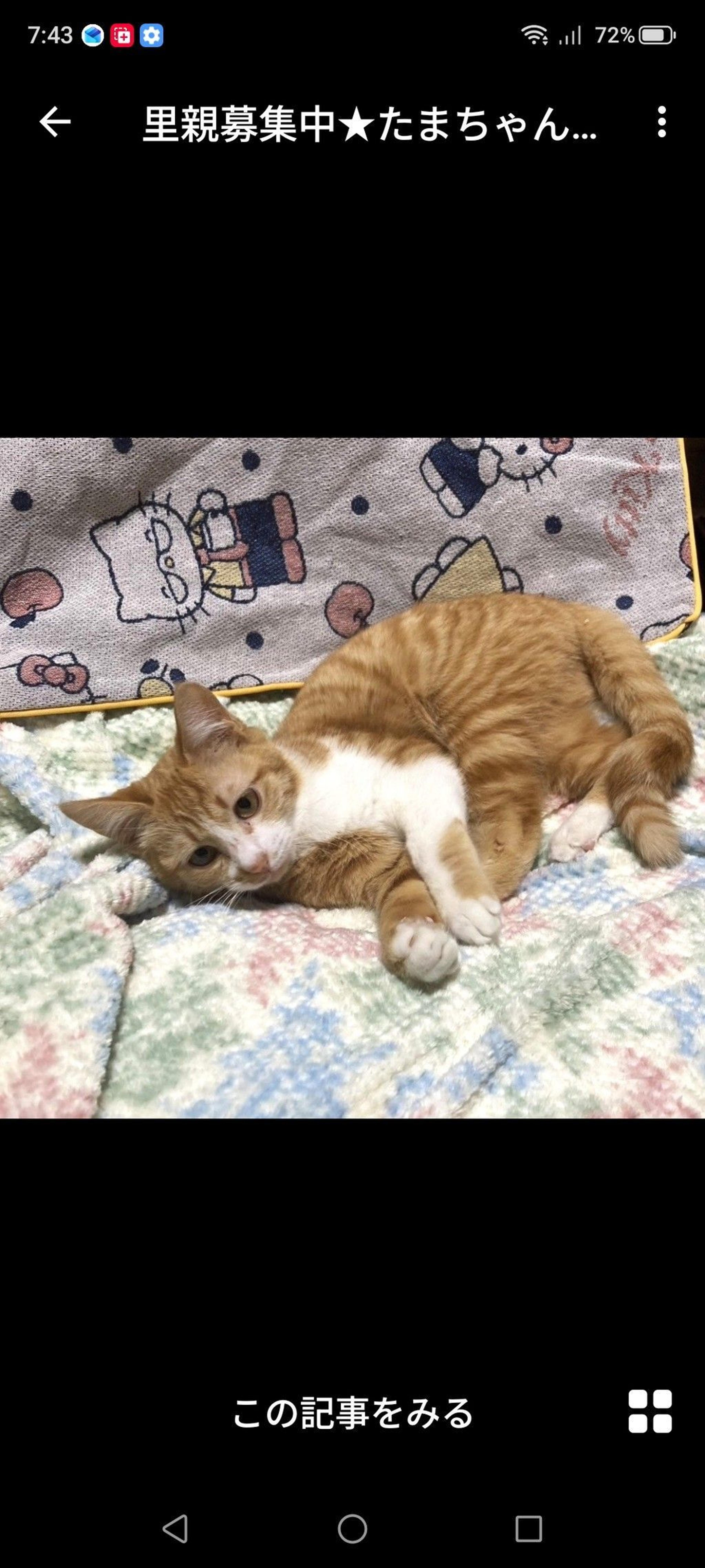 pet-image-3