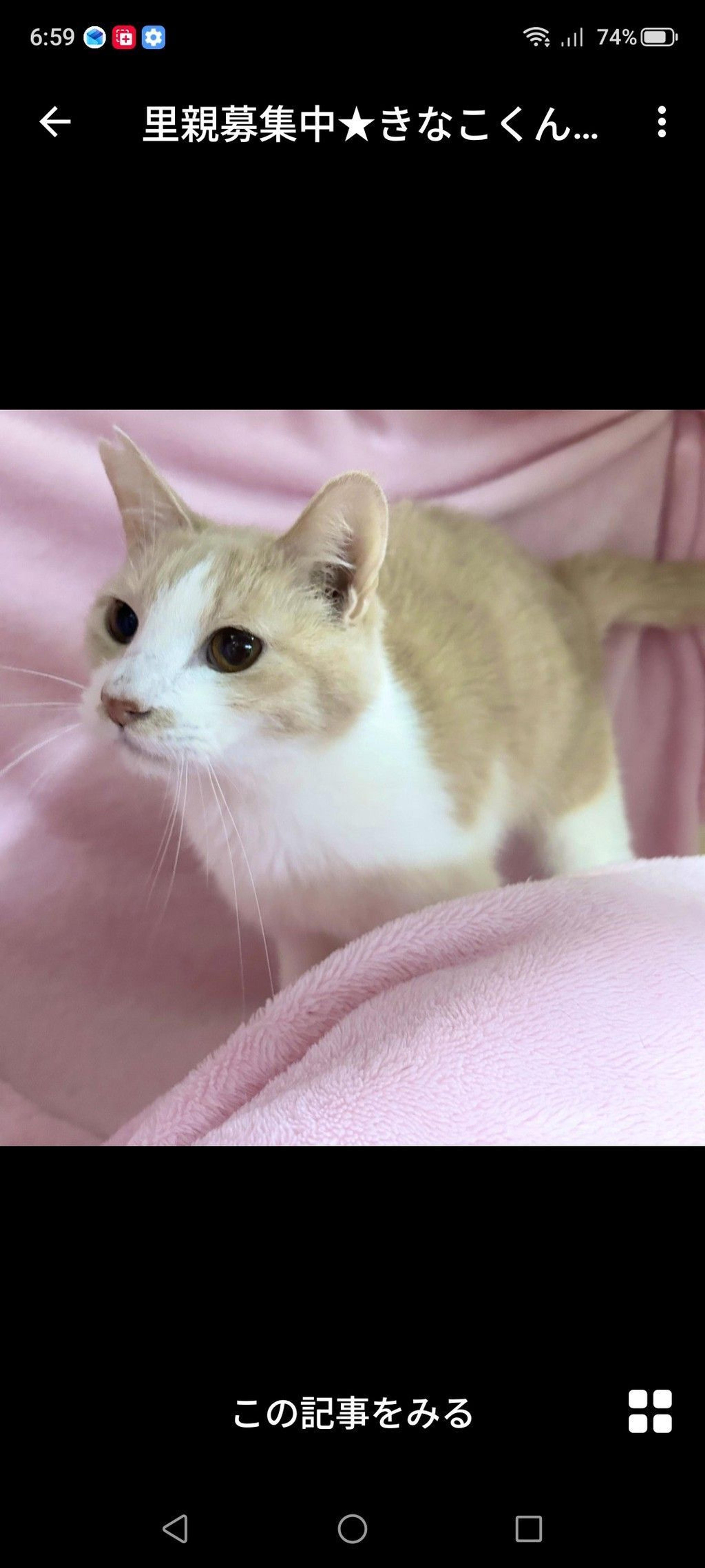 pet-image-3