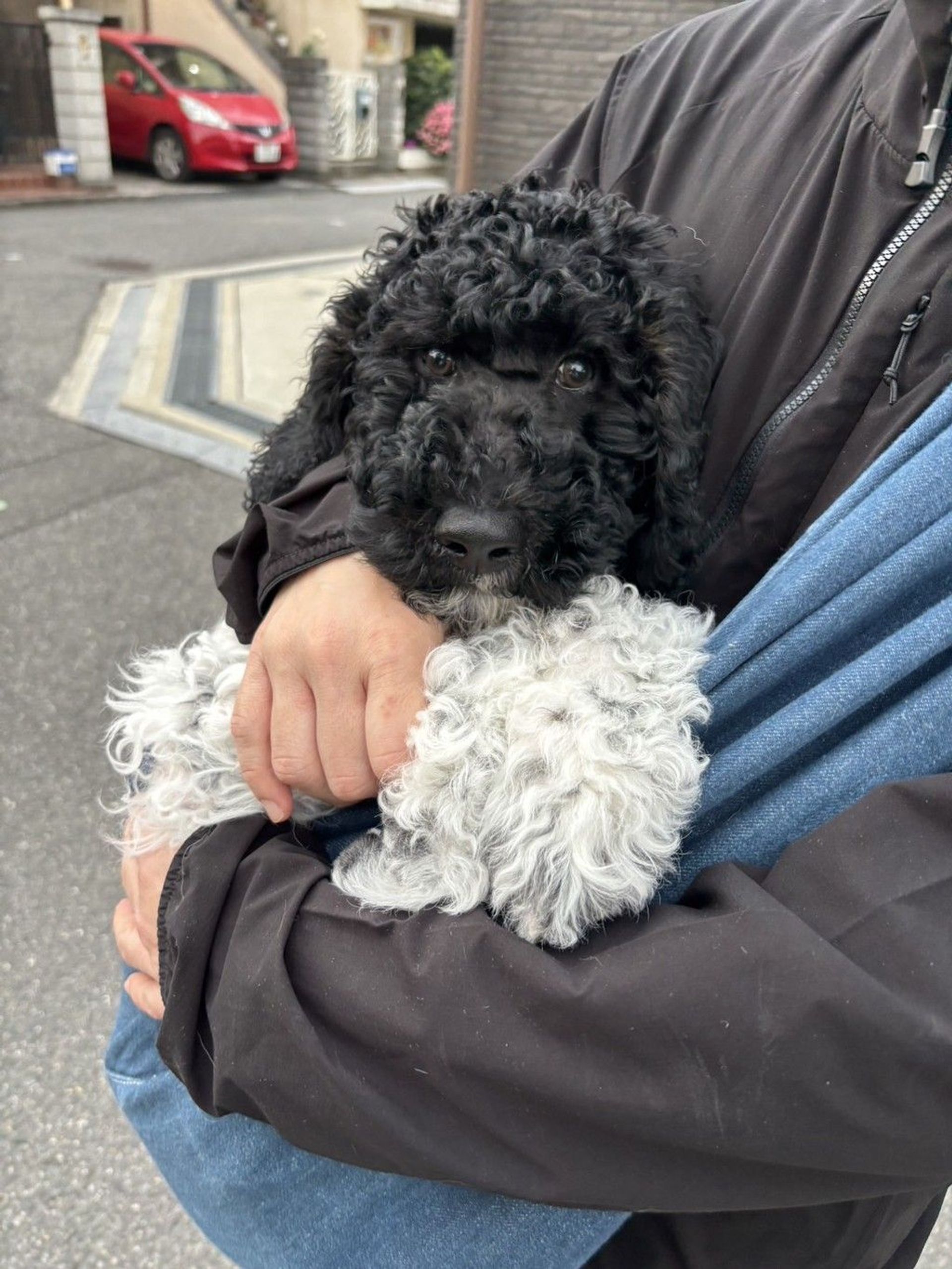 thumbnail-7