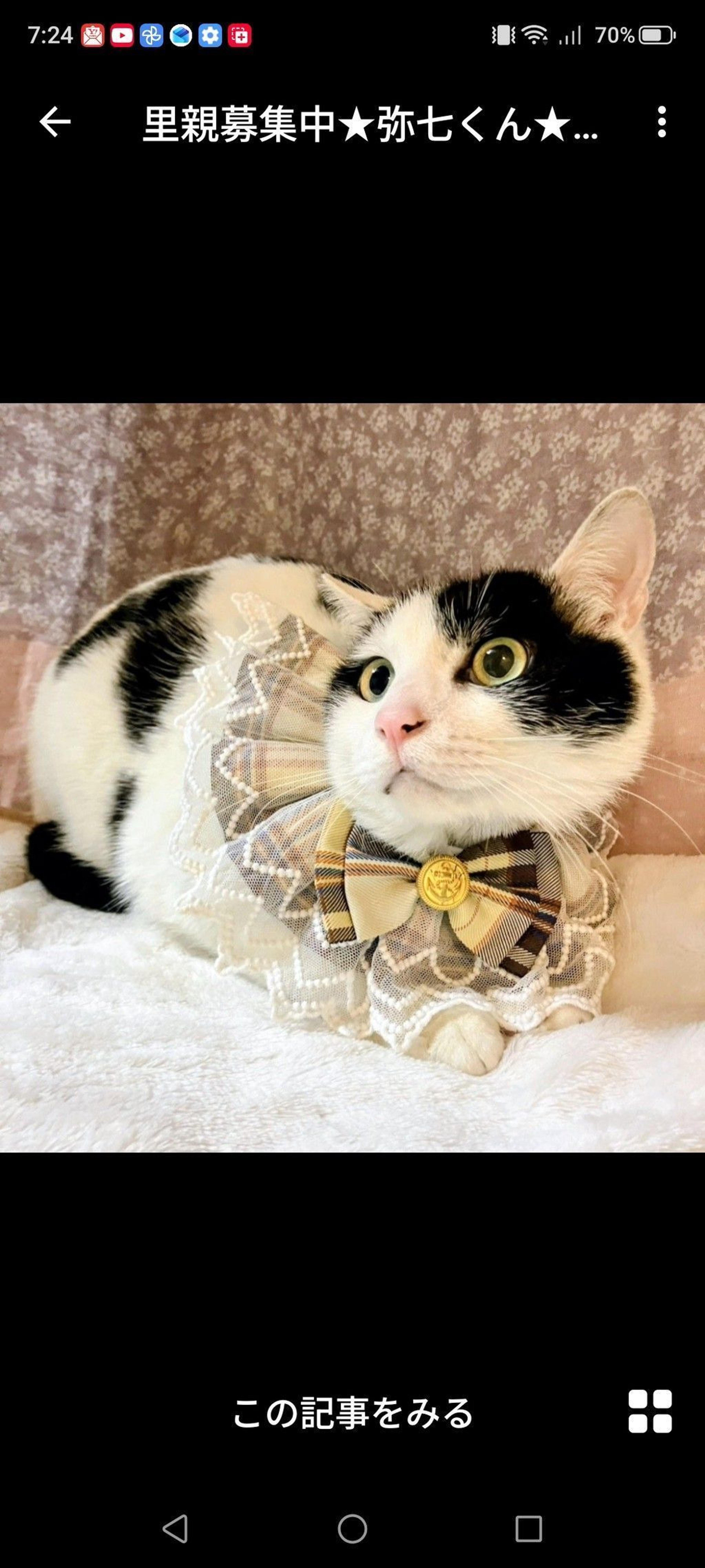 pet-image-2