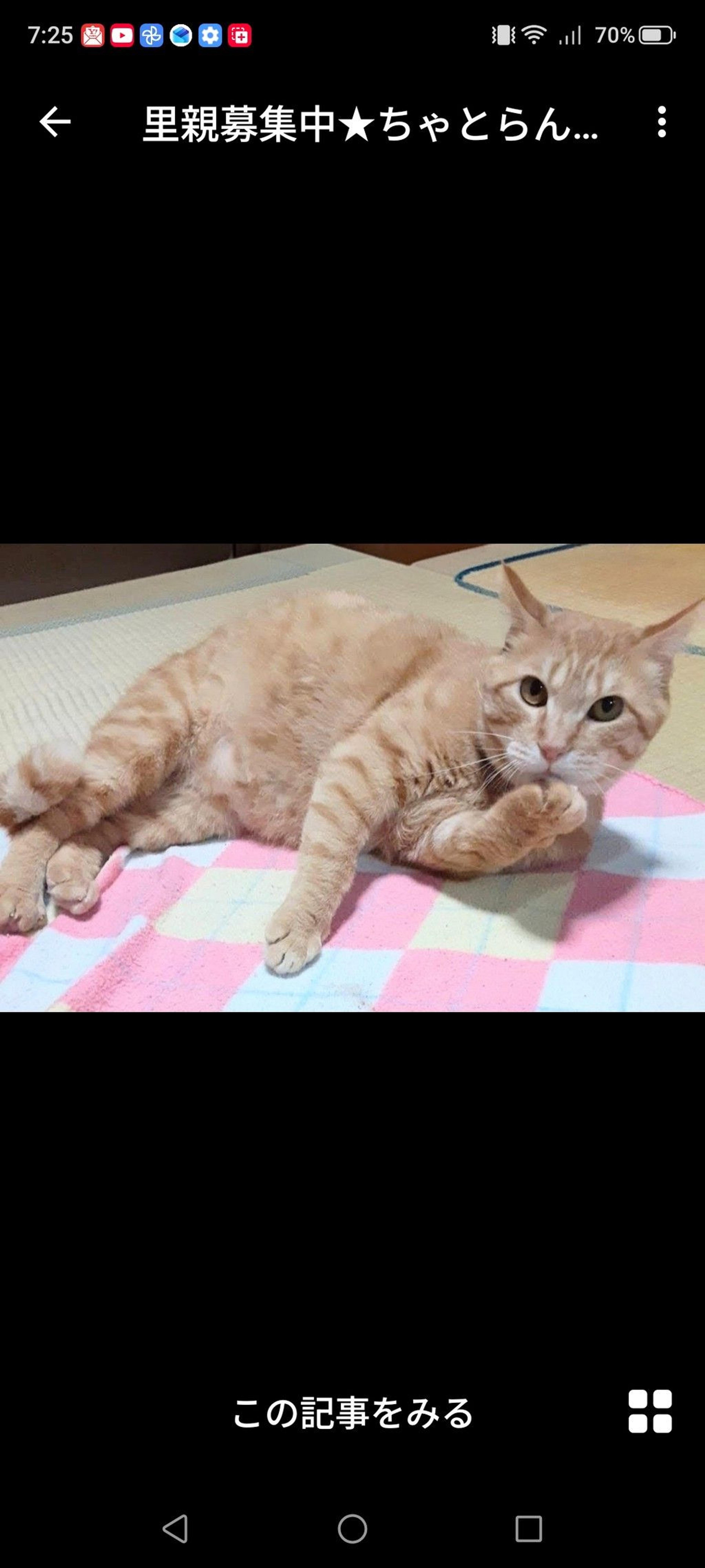 pet-image-2