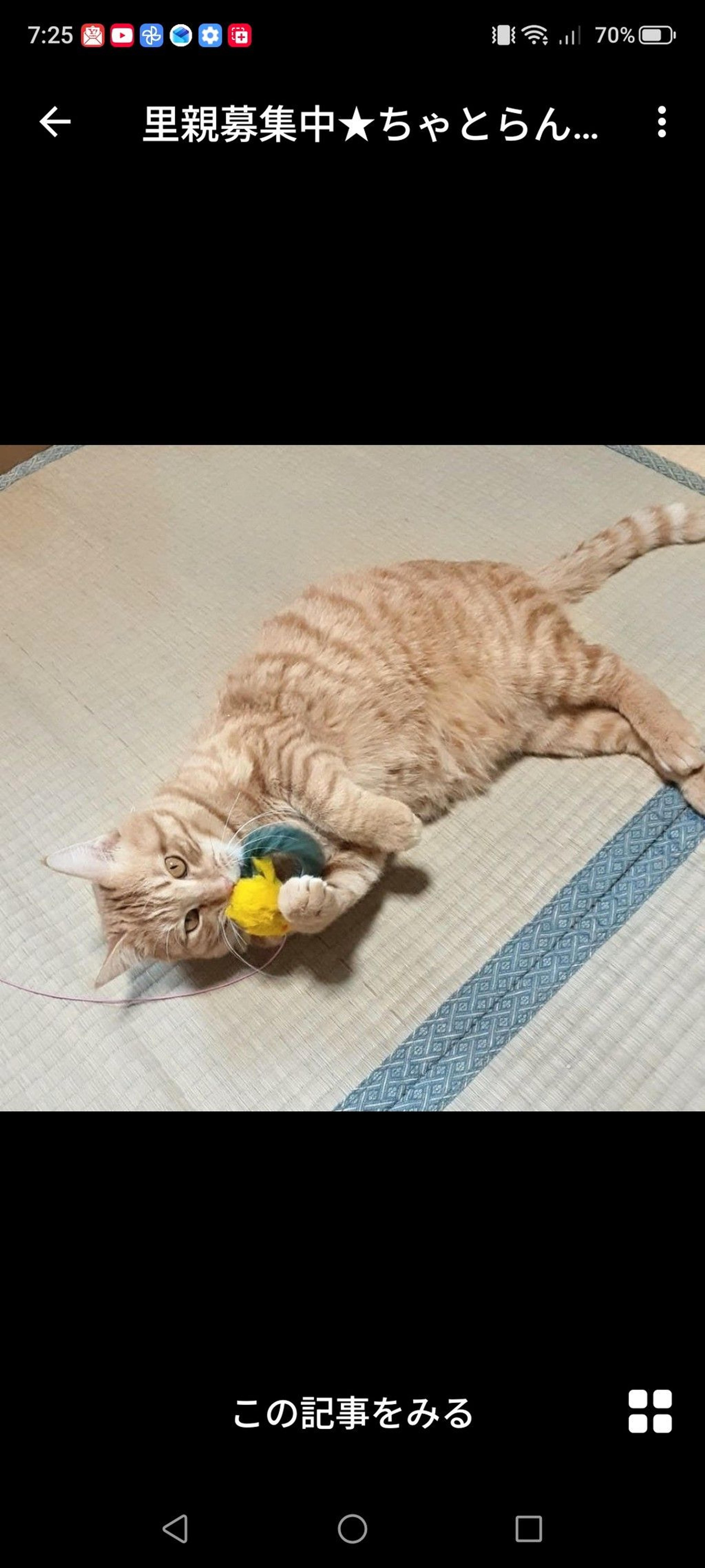 pet-image-3