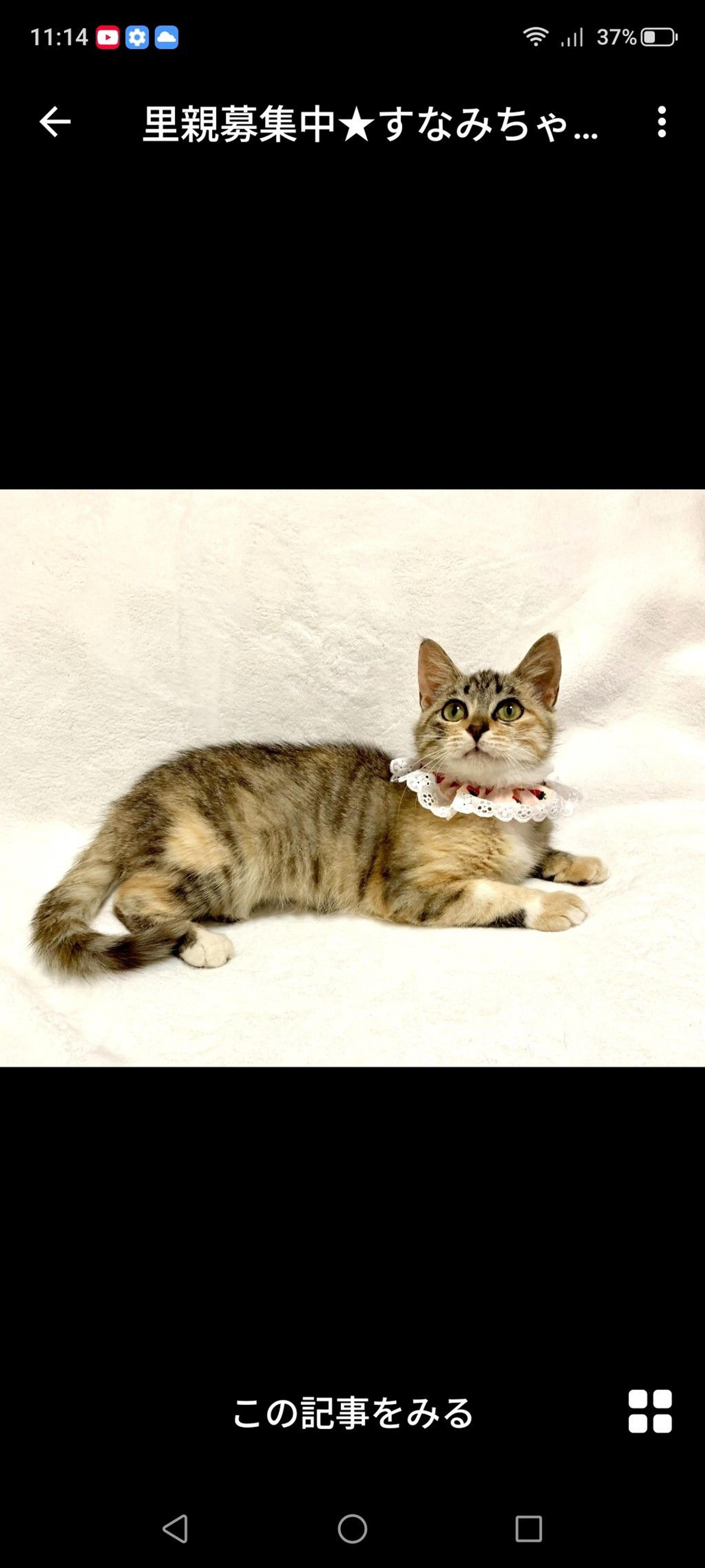 pet-image-2