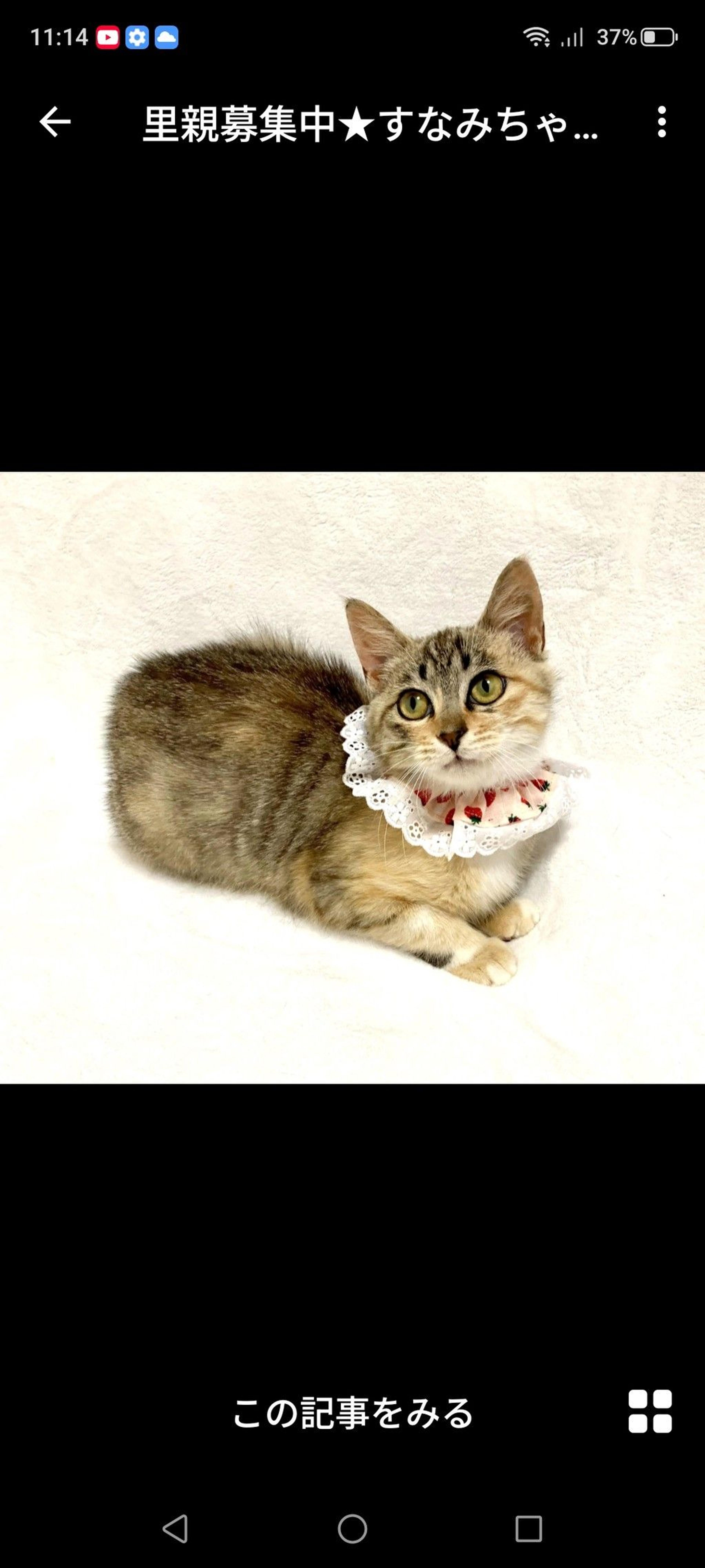 pet-image-3
