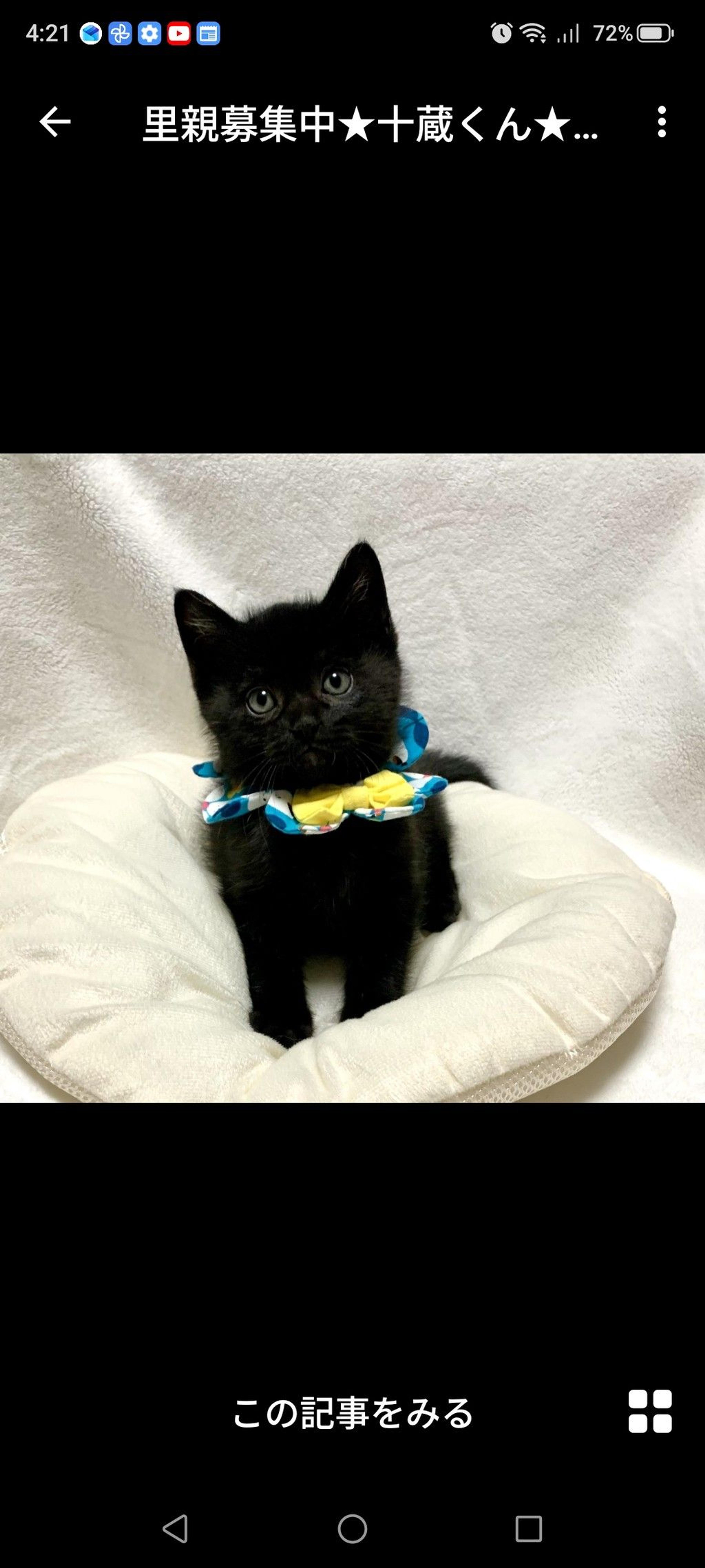 pet-image-2
