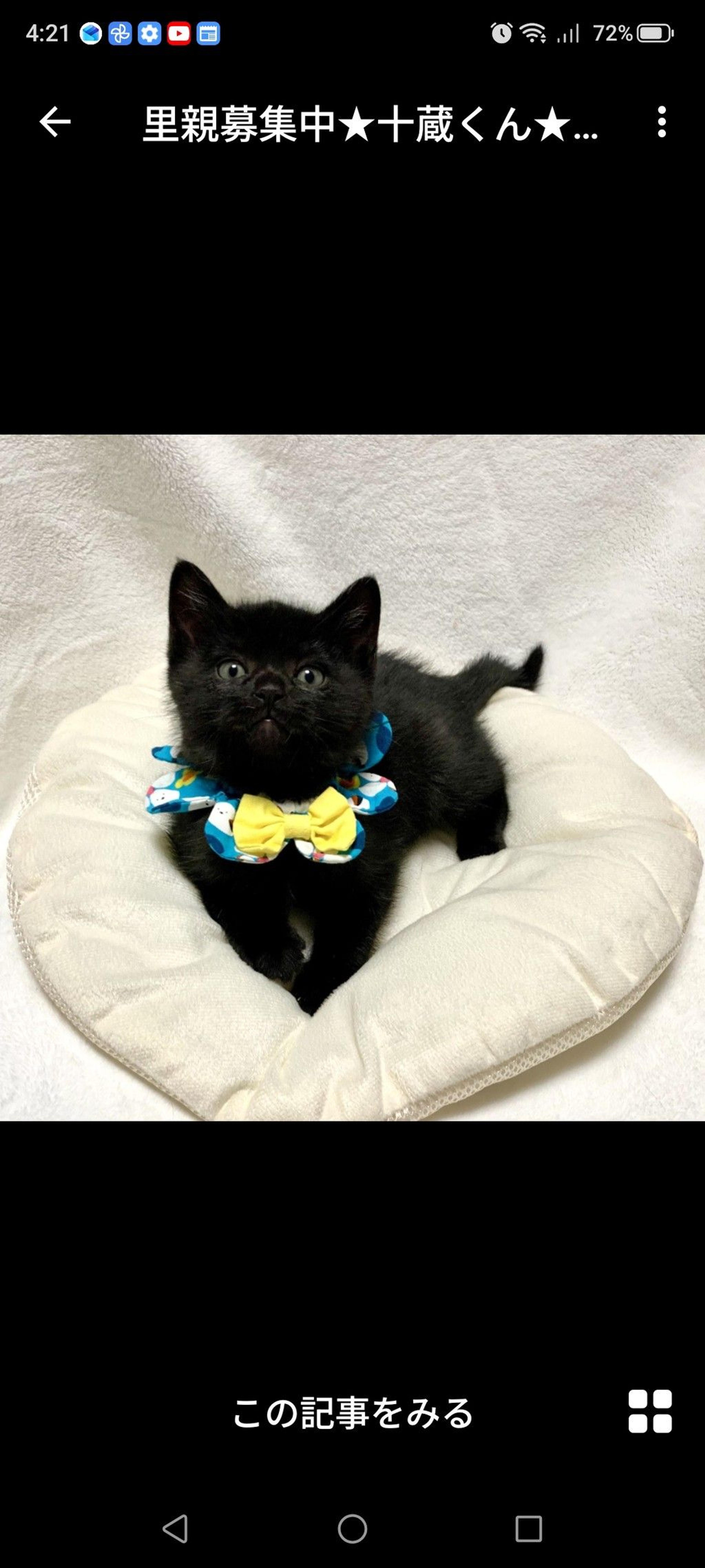 pet-image-3