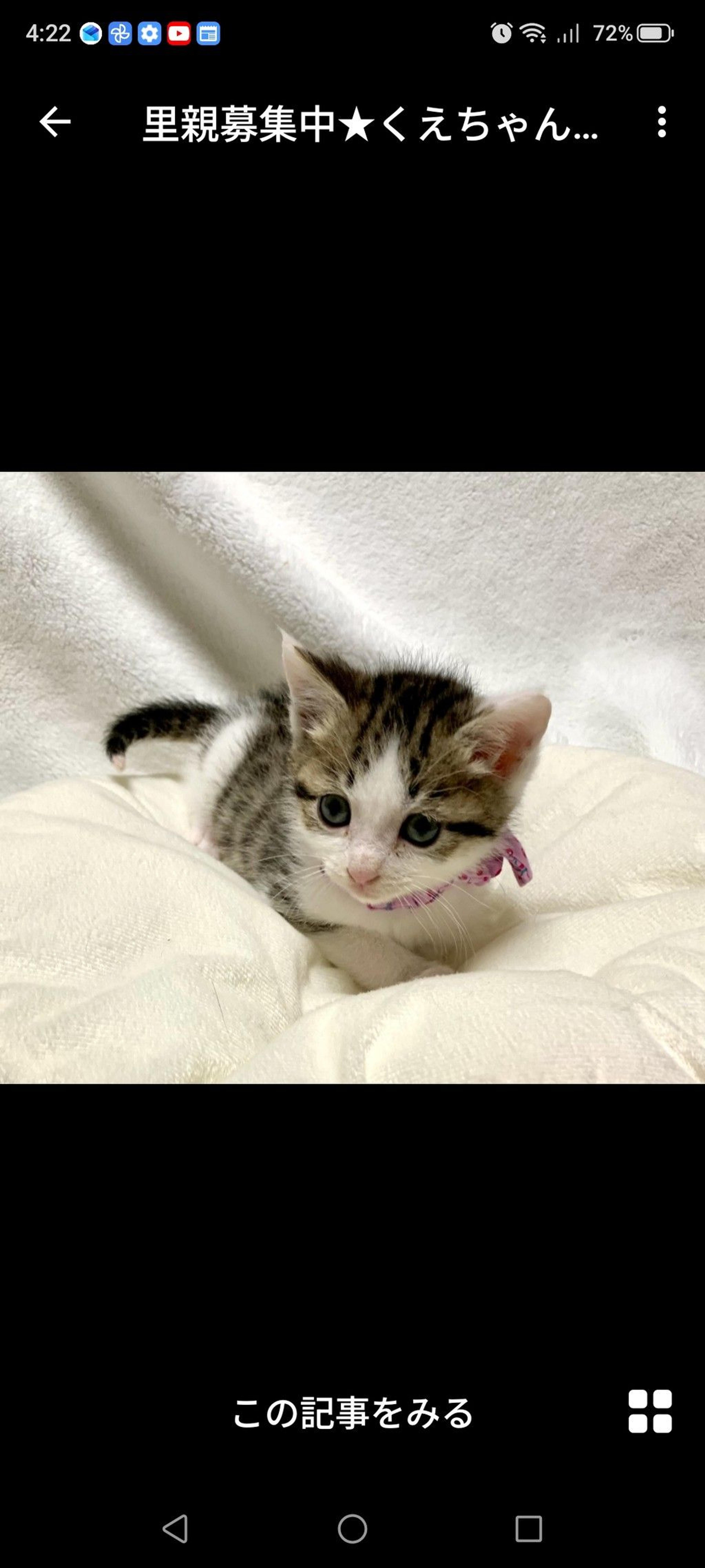 pet-image-3