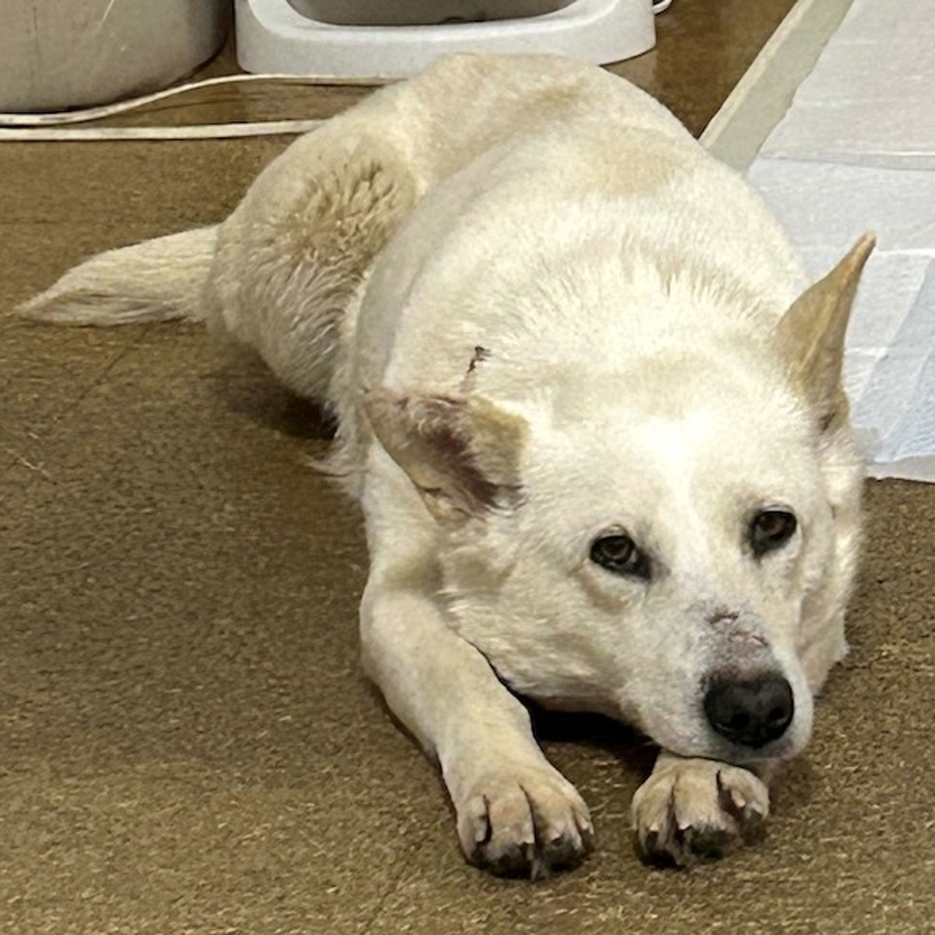 image-2