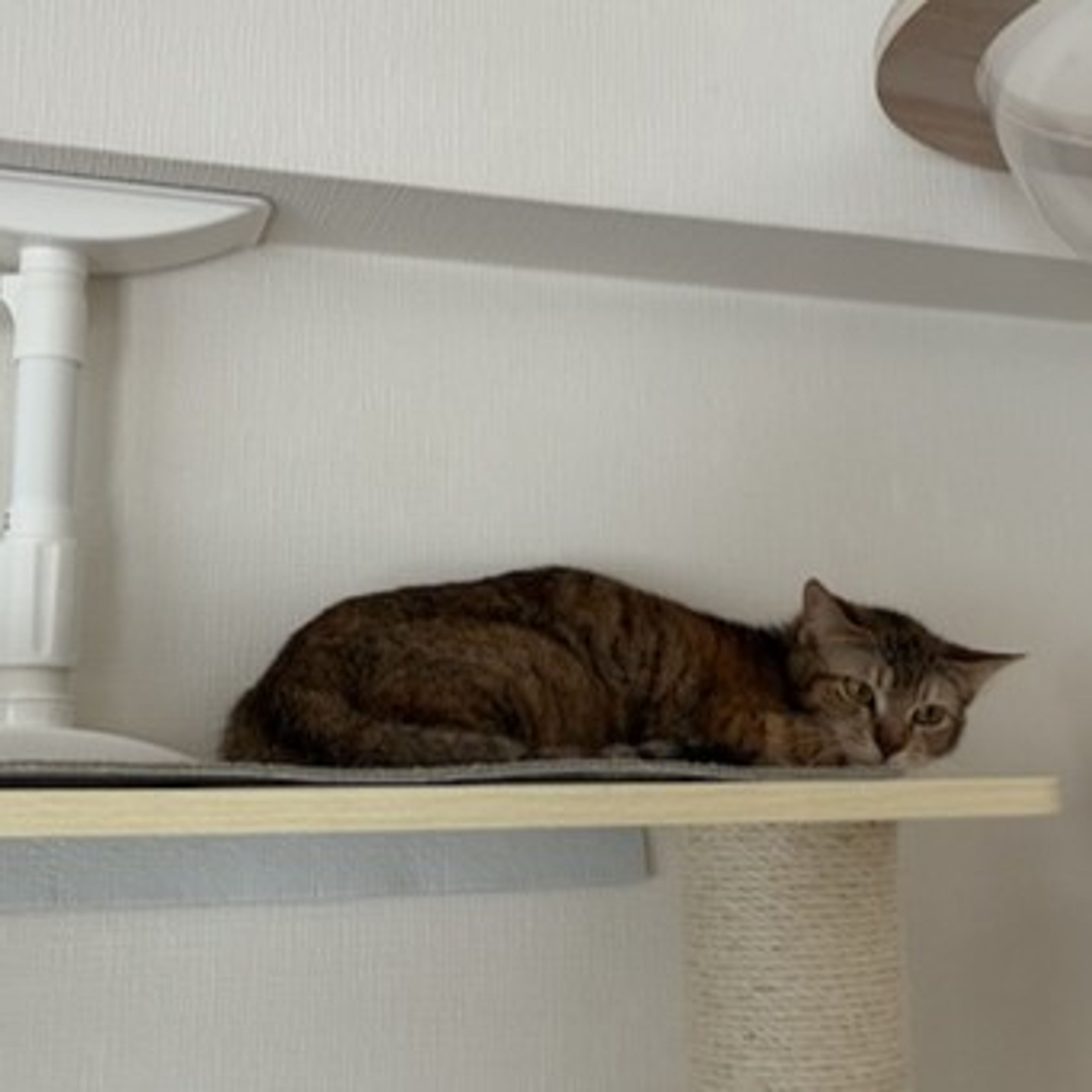 image-2