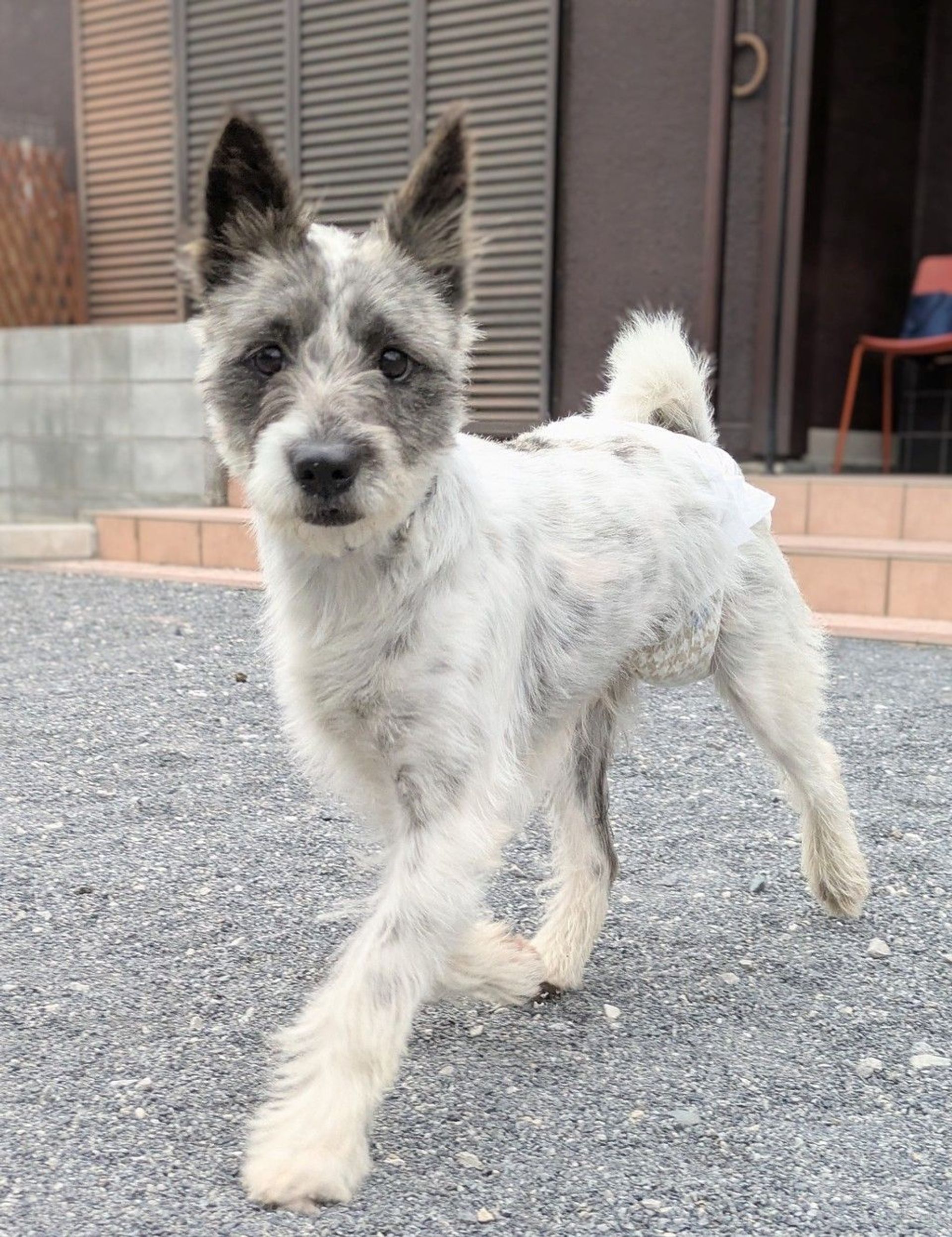 thumbnail-10