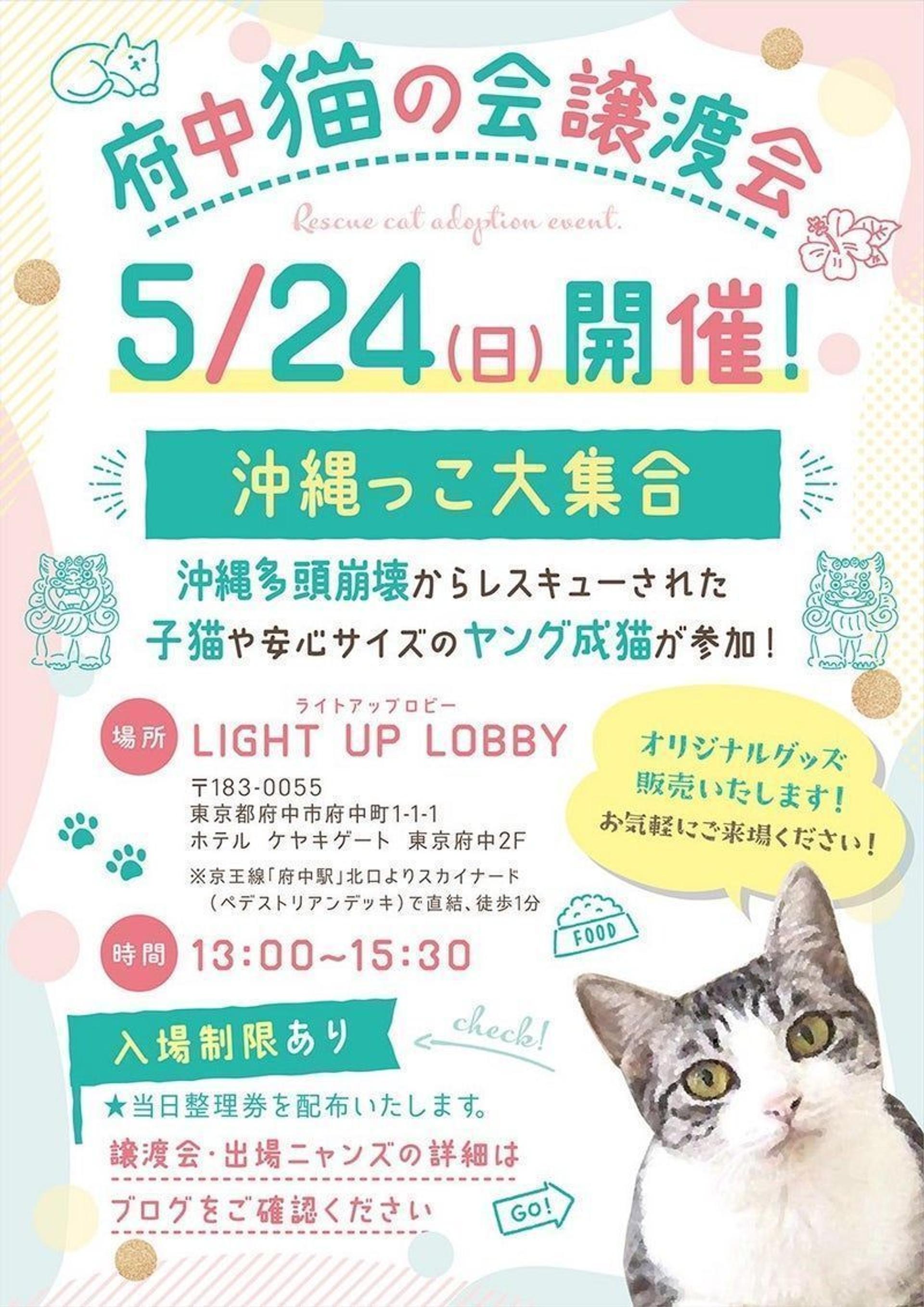 pet-image-5