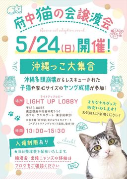 thumb-4
