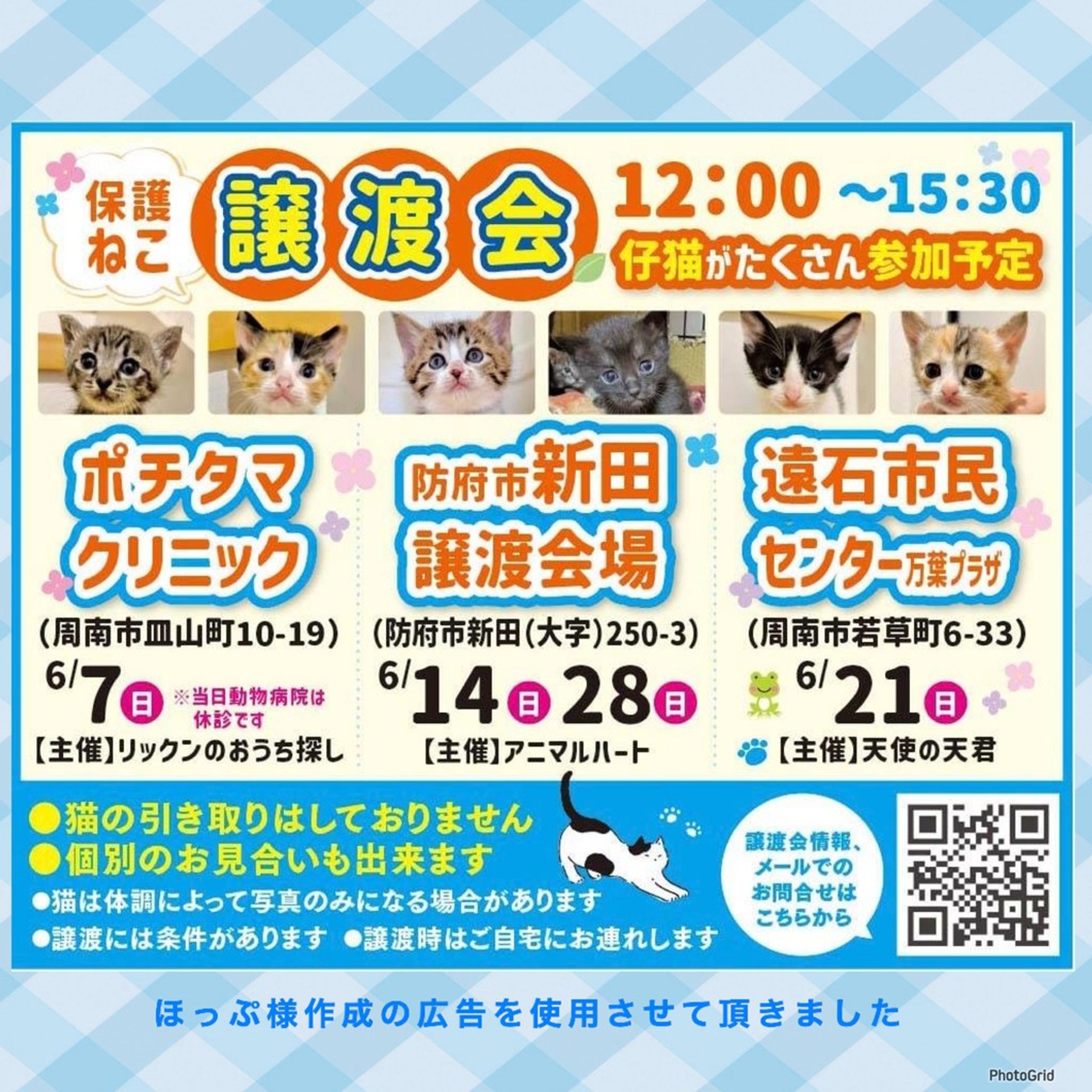 pet-image-5