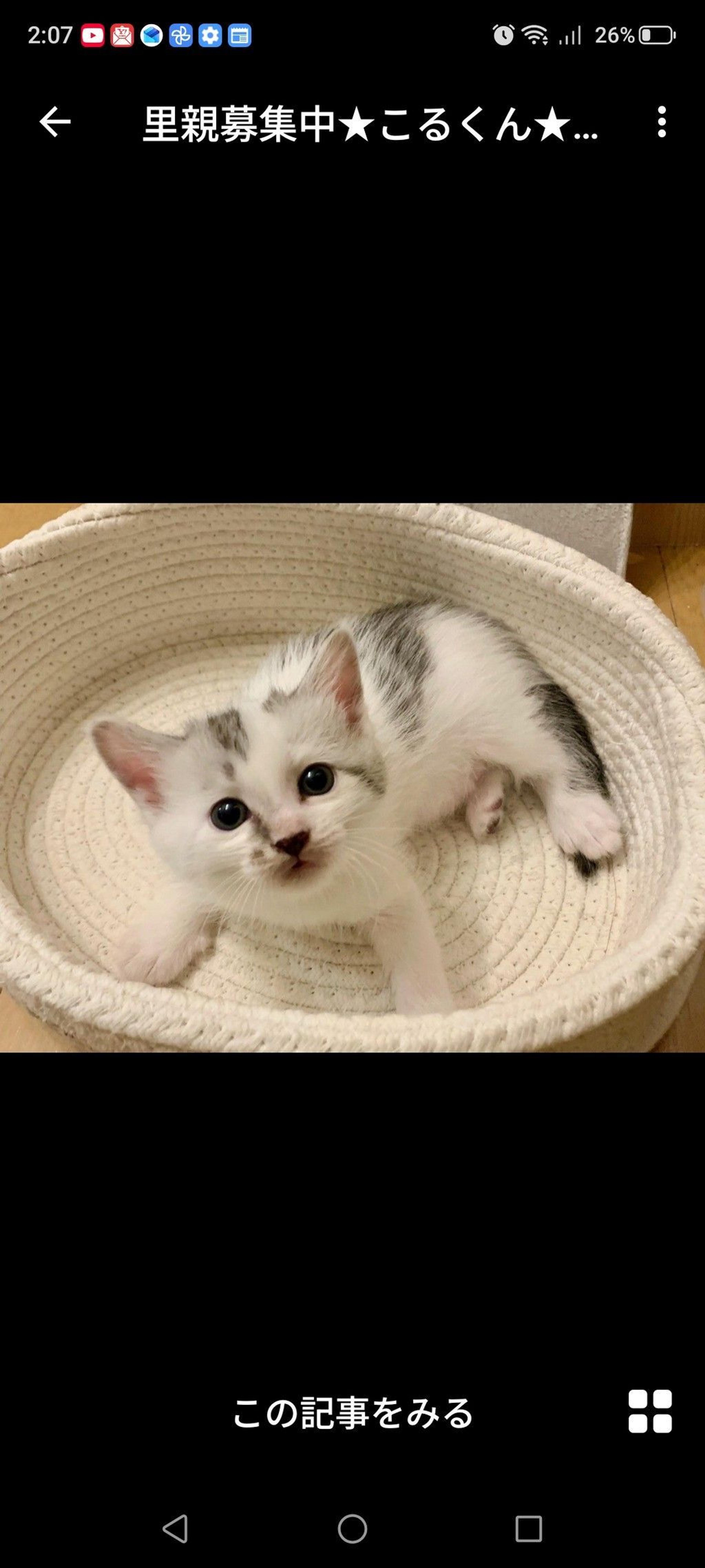 pet-image-3