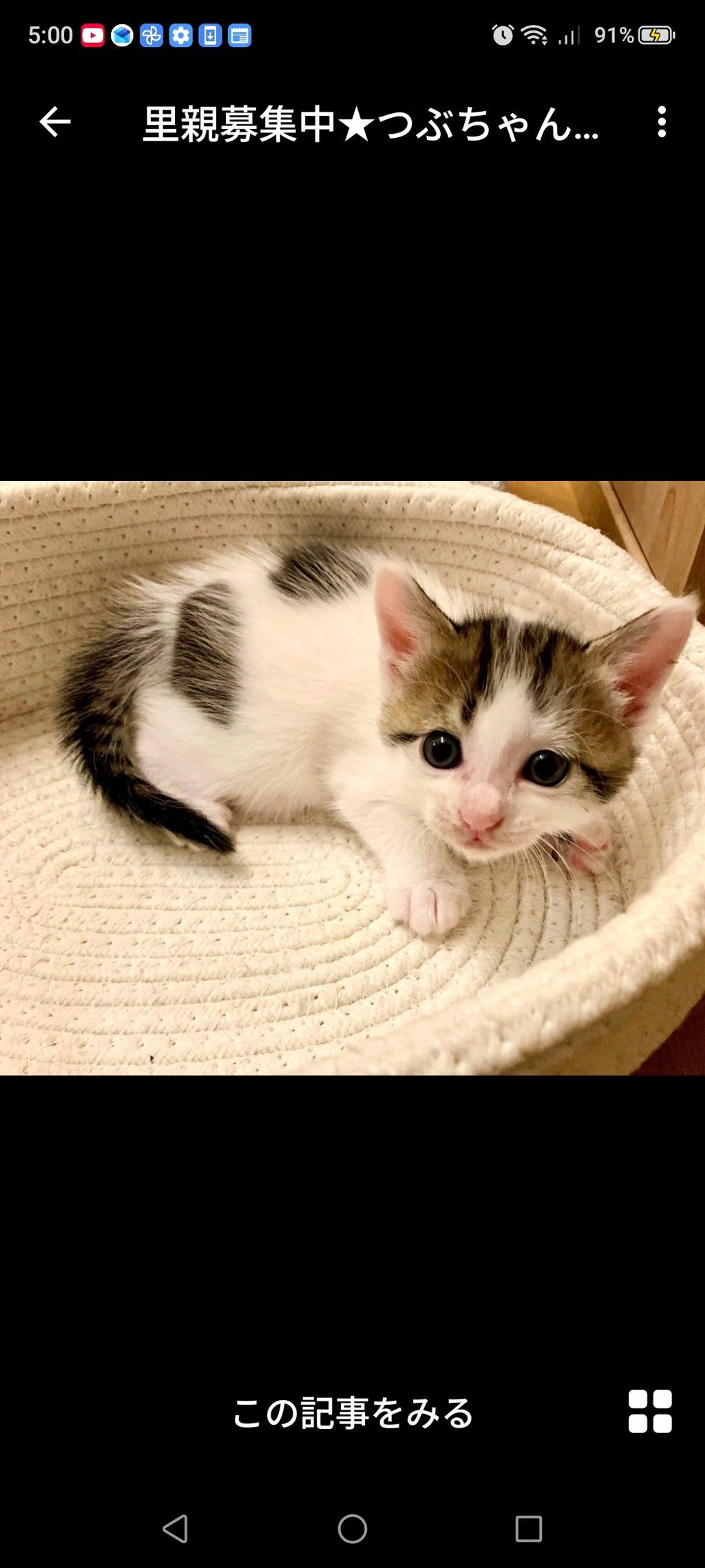 pet-image-2