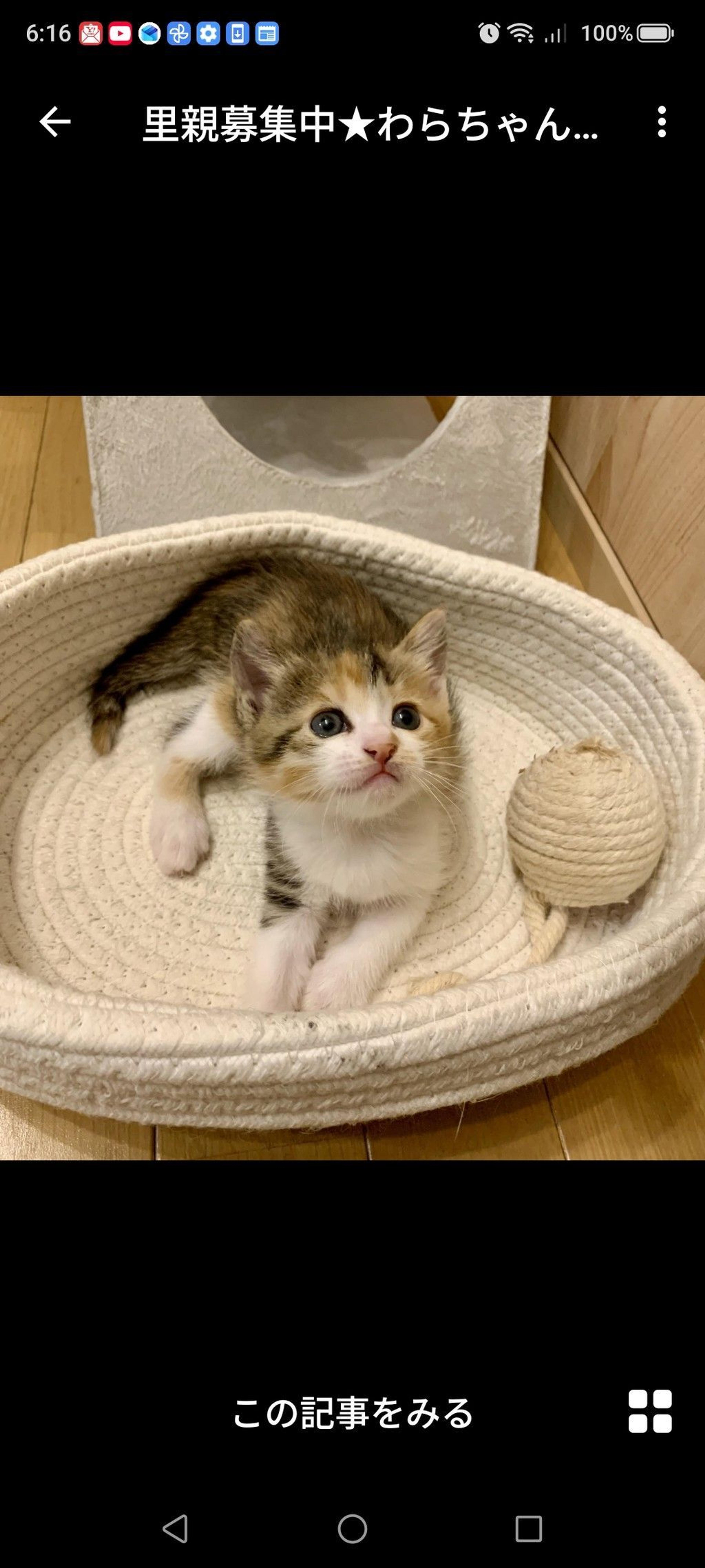 pet-image-2