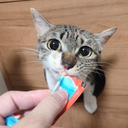thumb-1