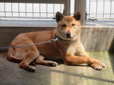 キキの写真