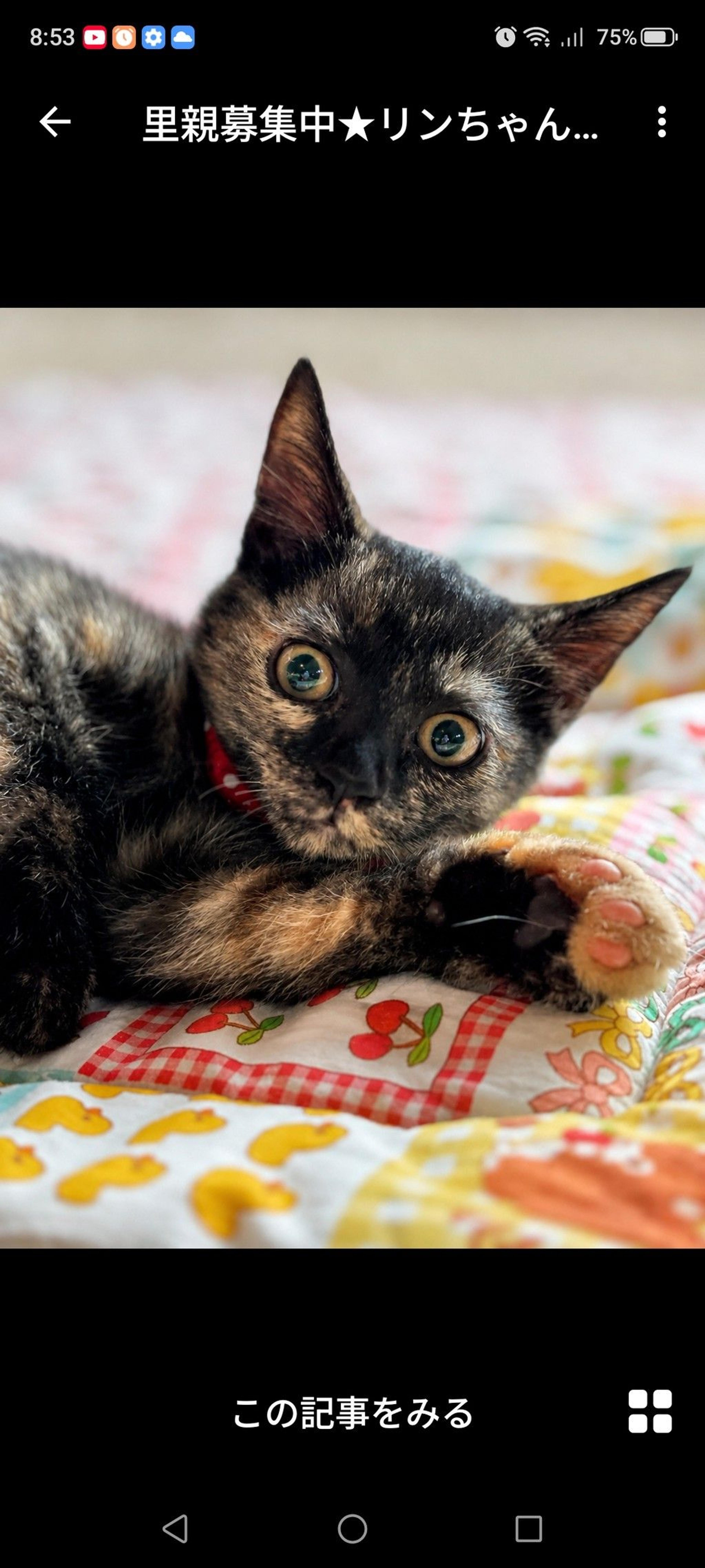 pet-image-2