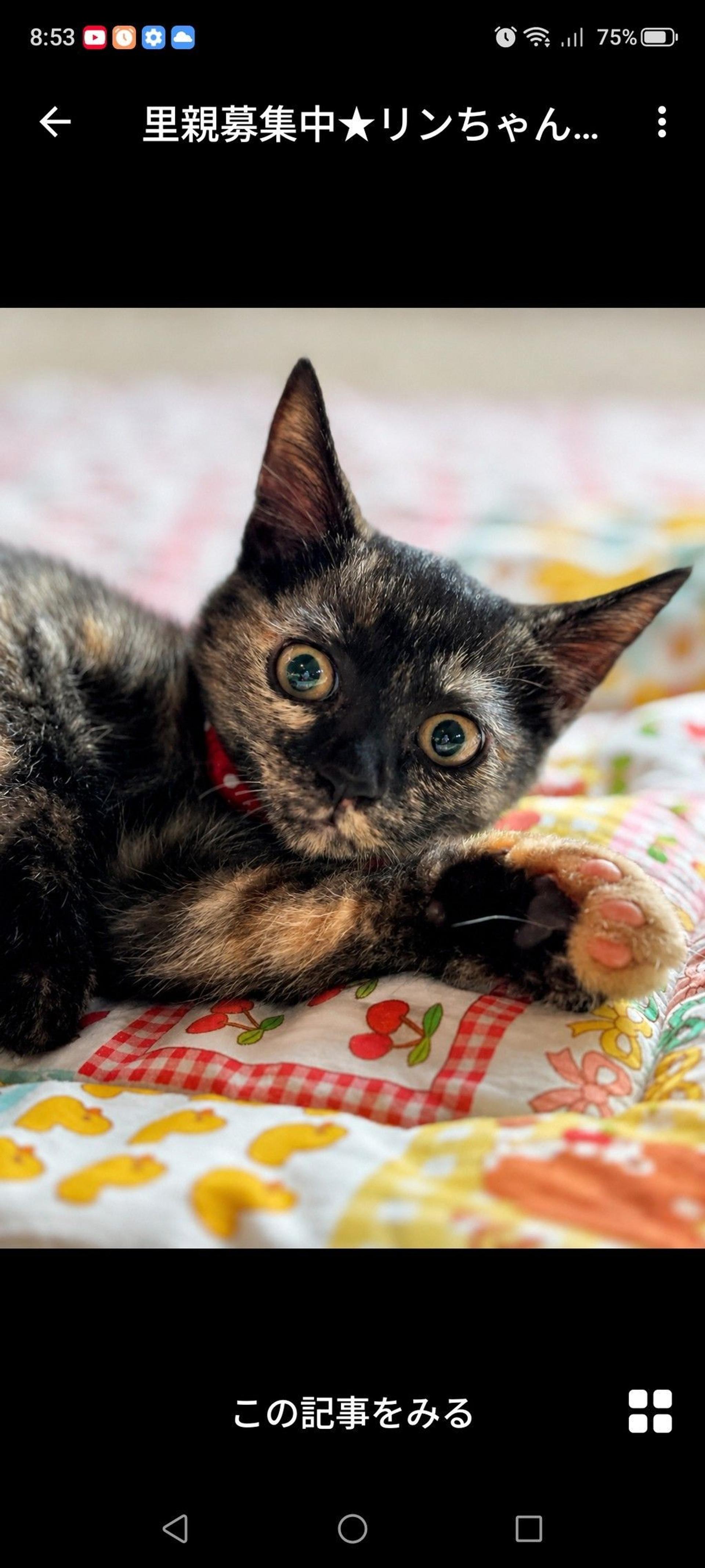 pet-image-2