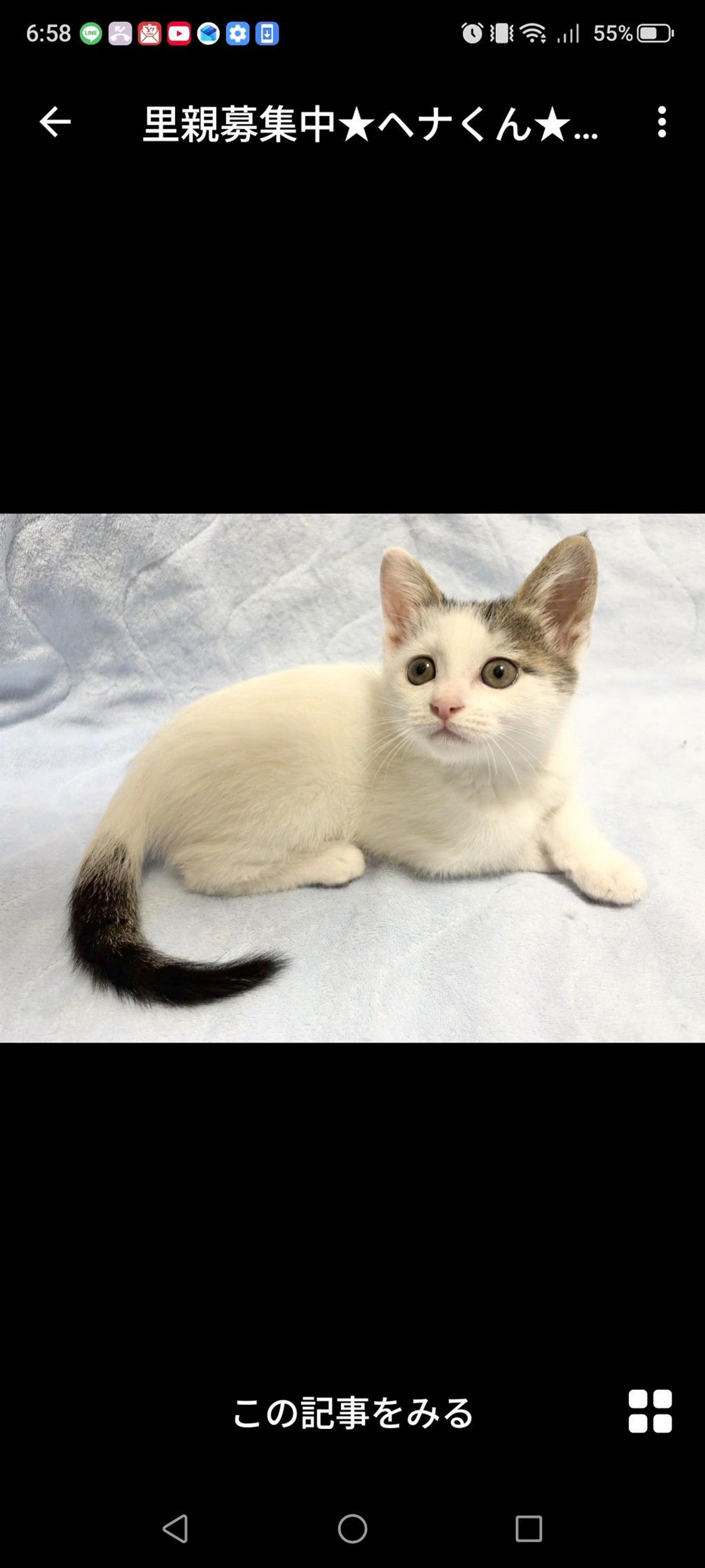 pet-image-2