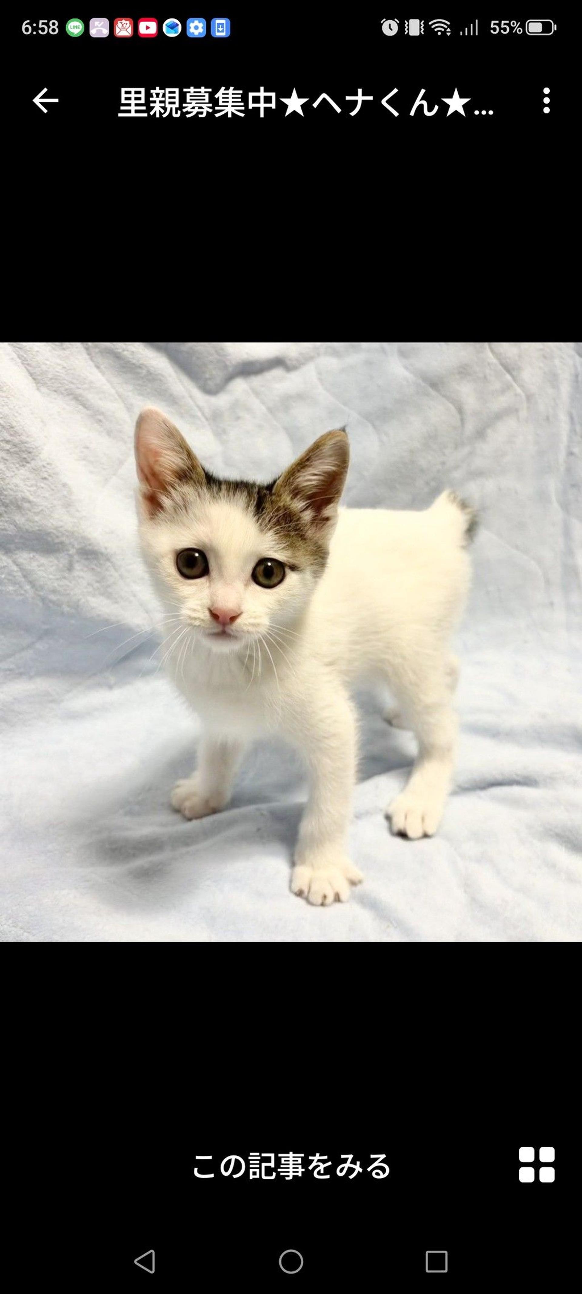 pet-image-3