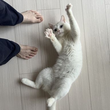 マサムネの写真