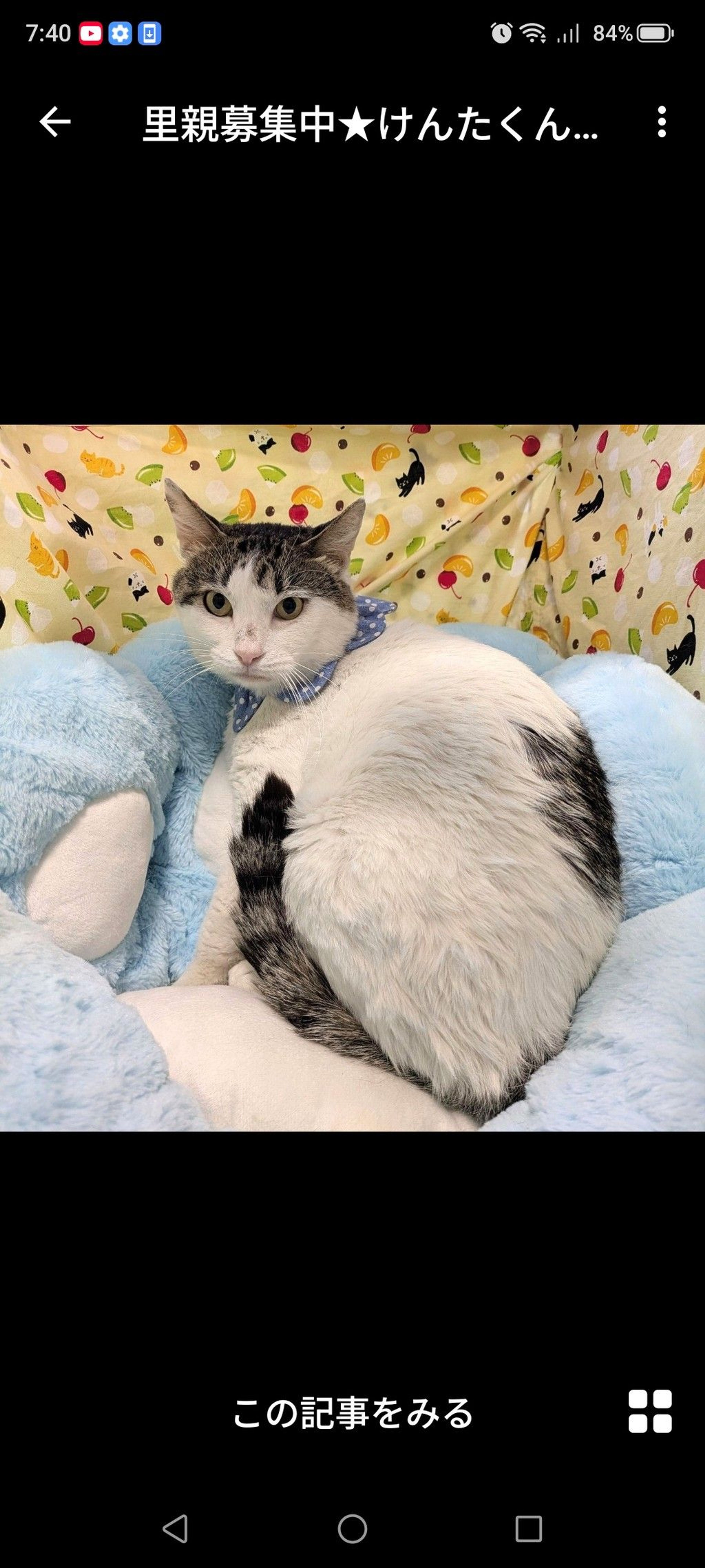 pet-image-2