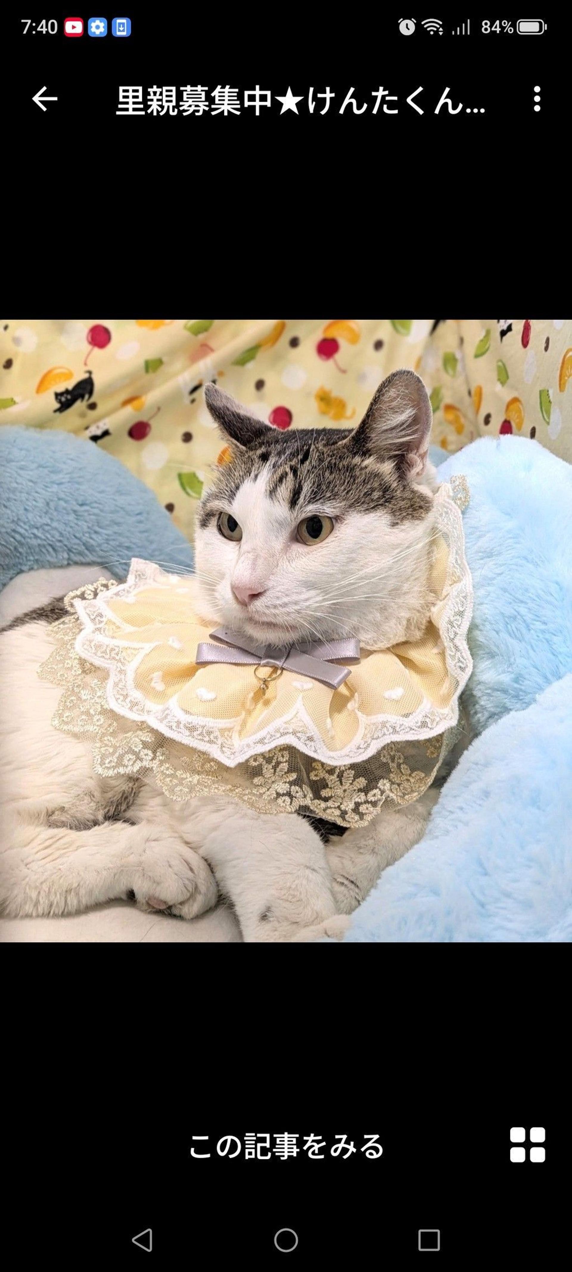 pet-image-3