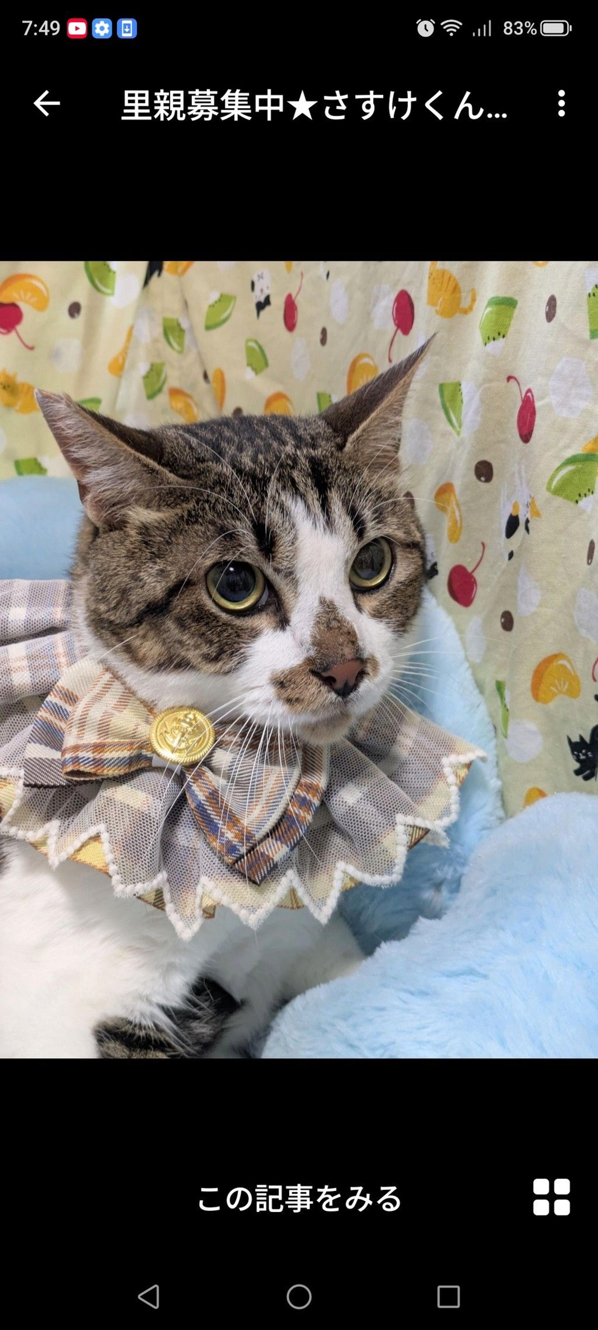 pet-image-2