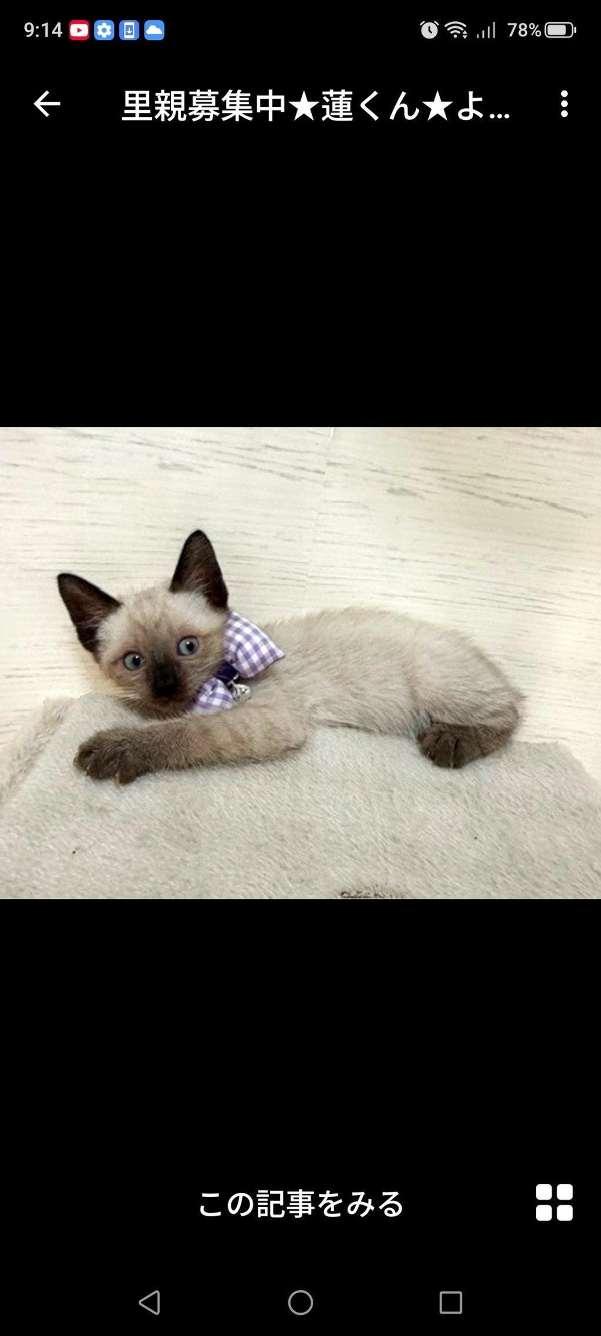 pet-image-3