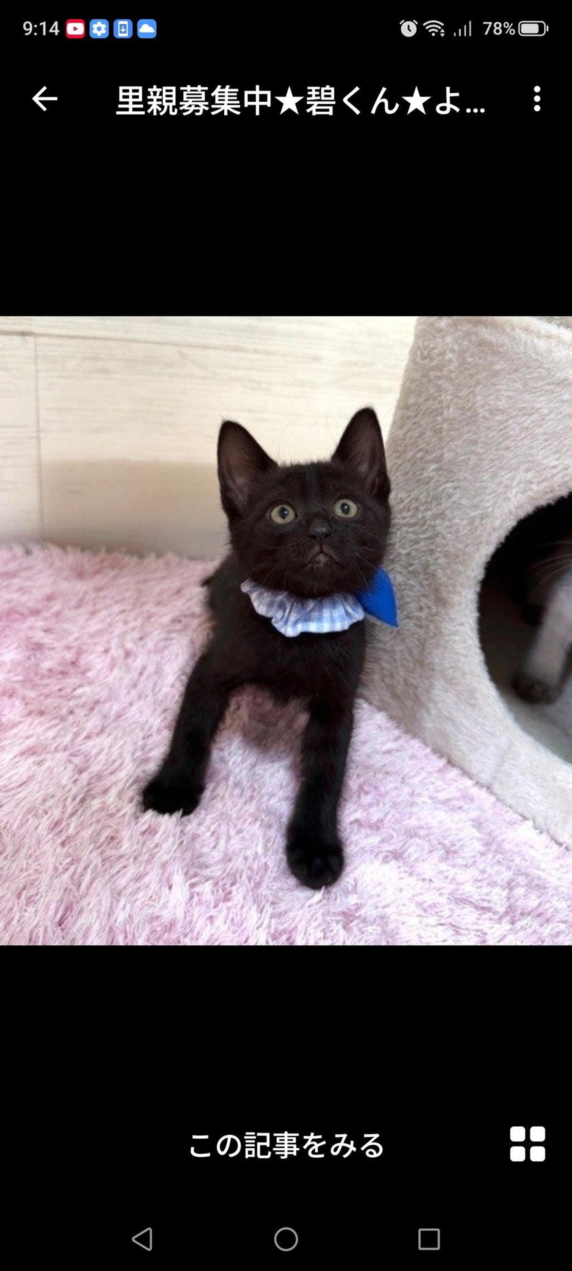 pet-image-2
