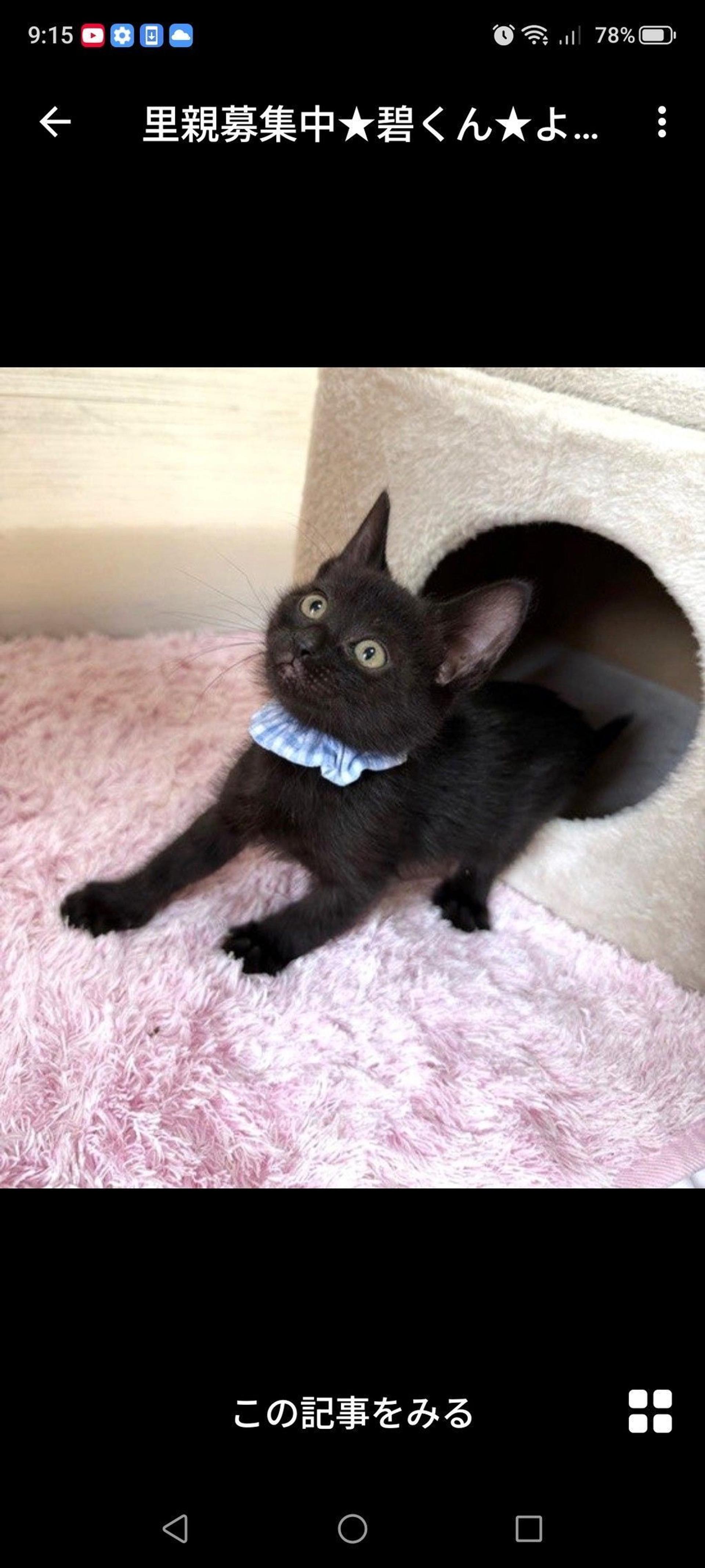 pet-image-3