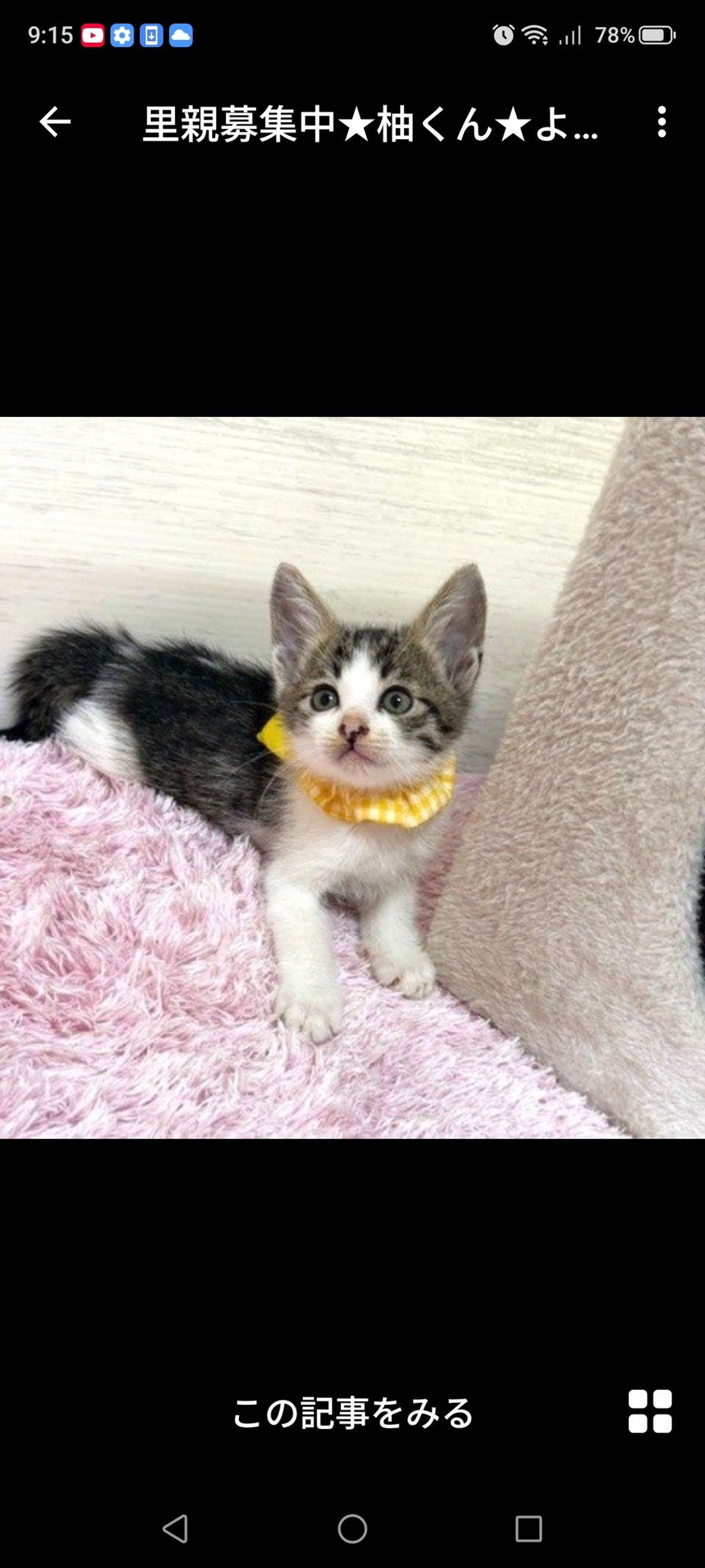 pet-image-2
