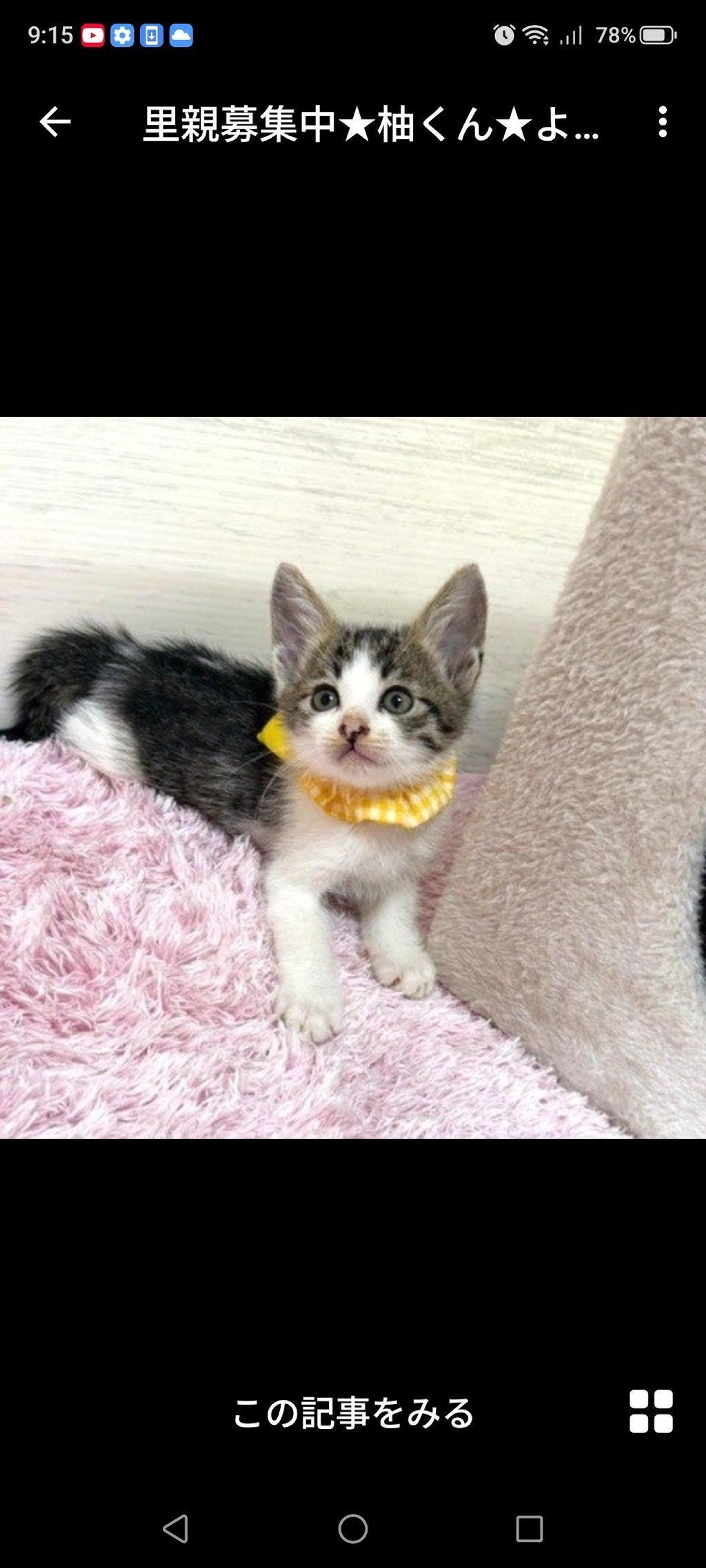 pet-image-2