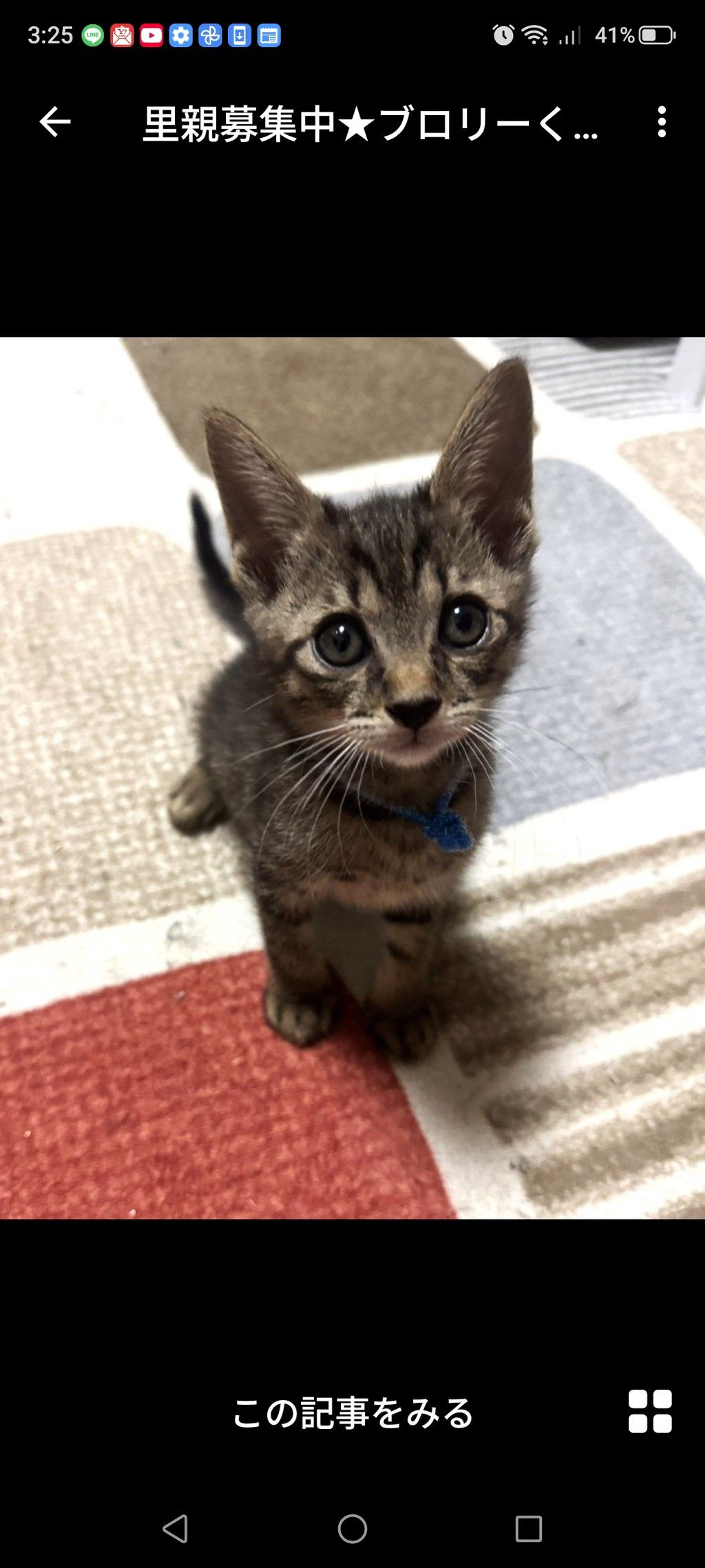 pet-image-2