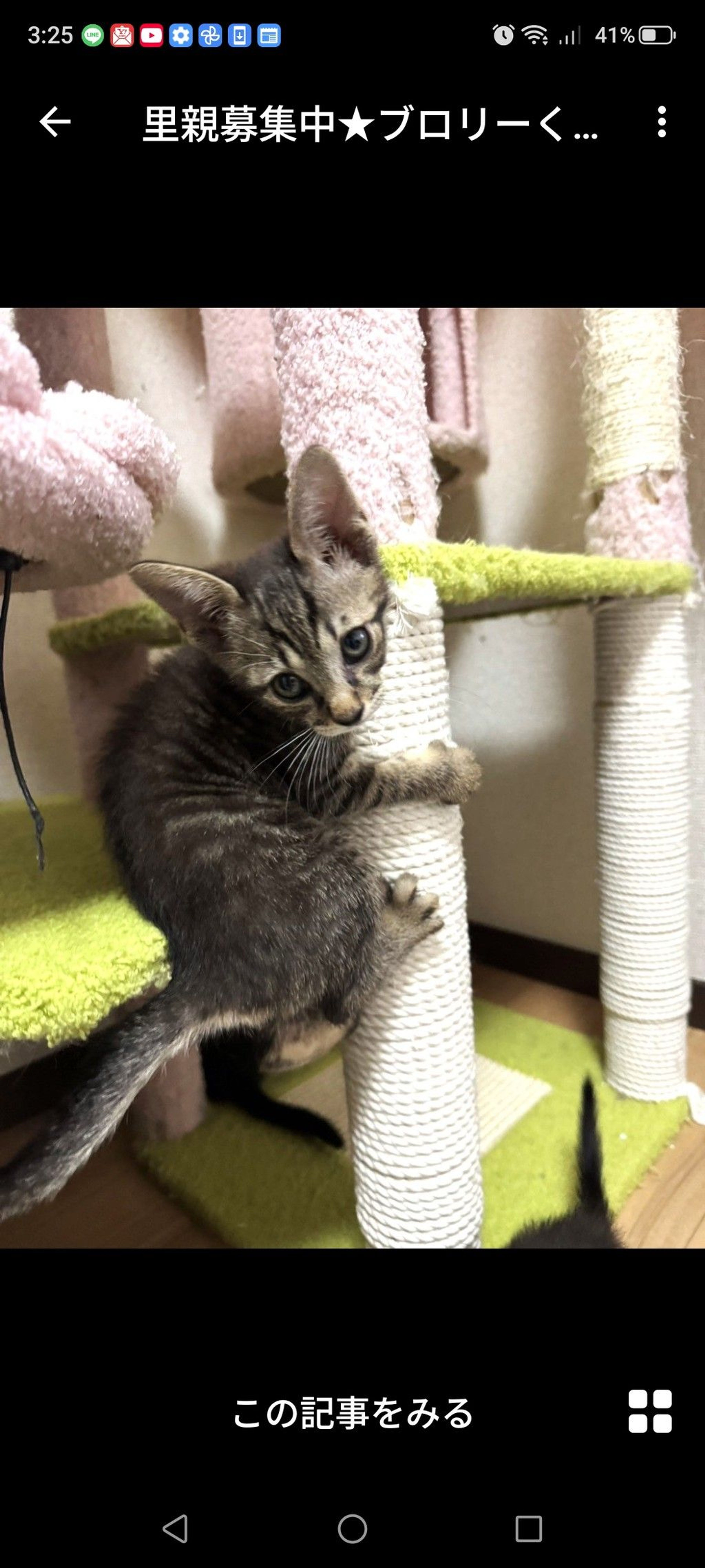 pet-image-3