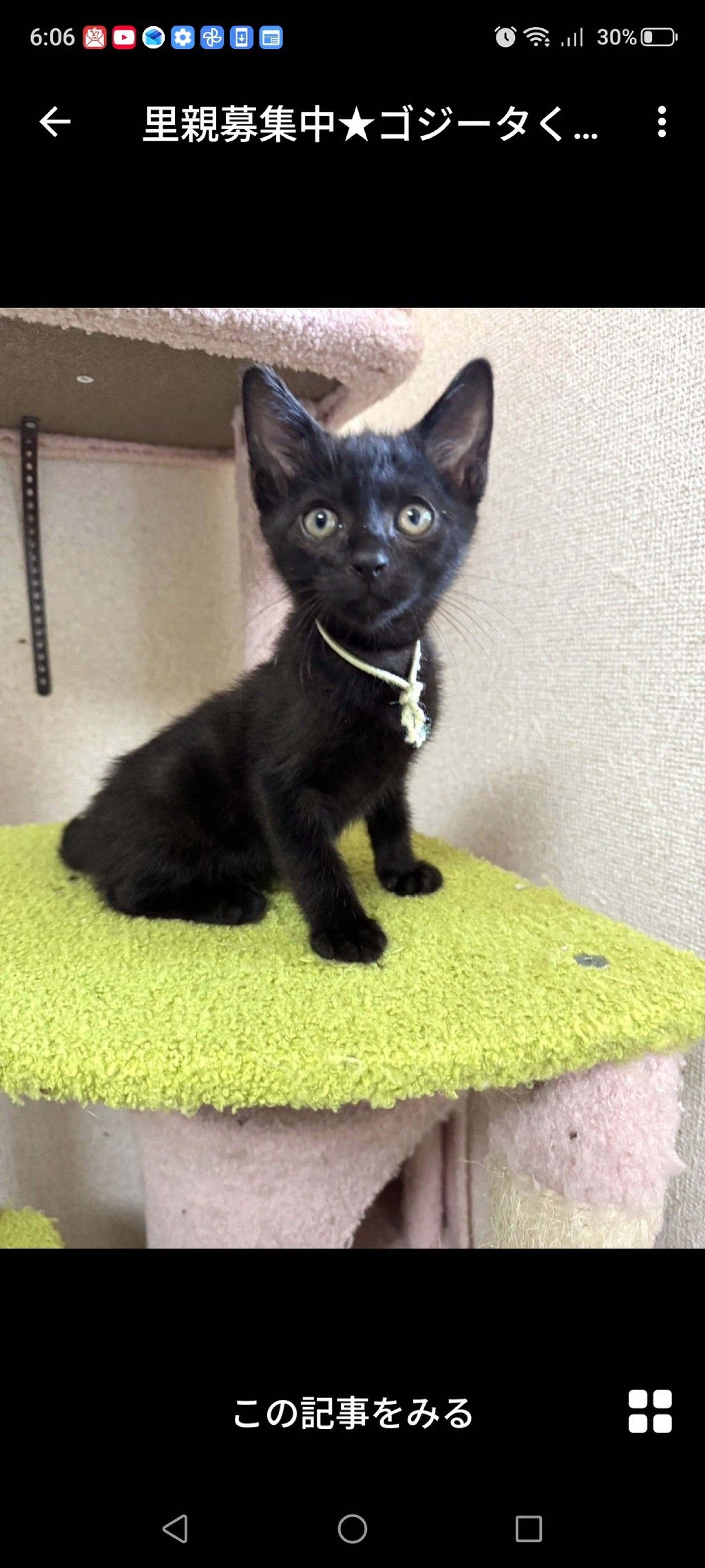 pet-image-2