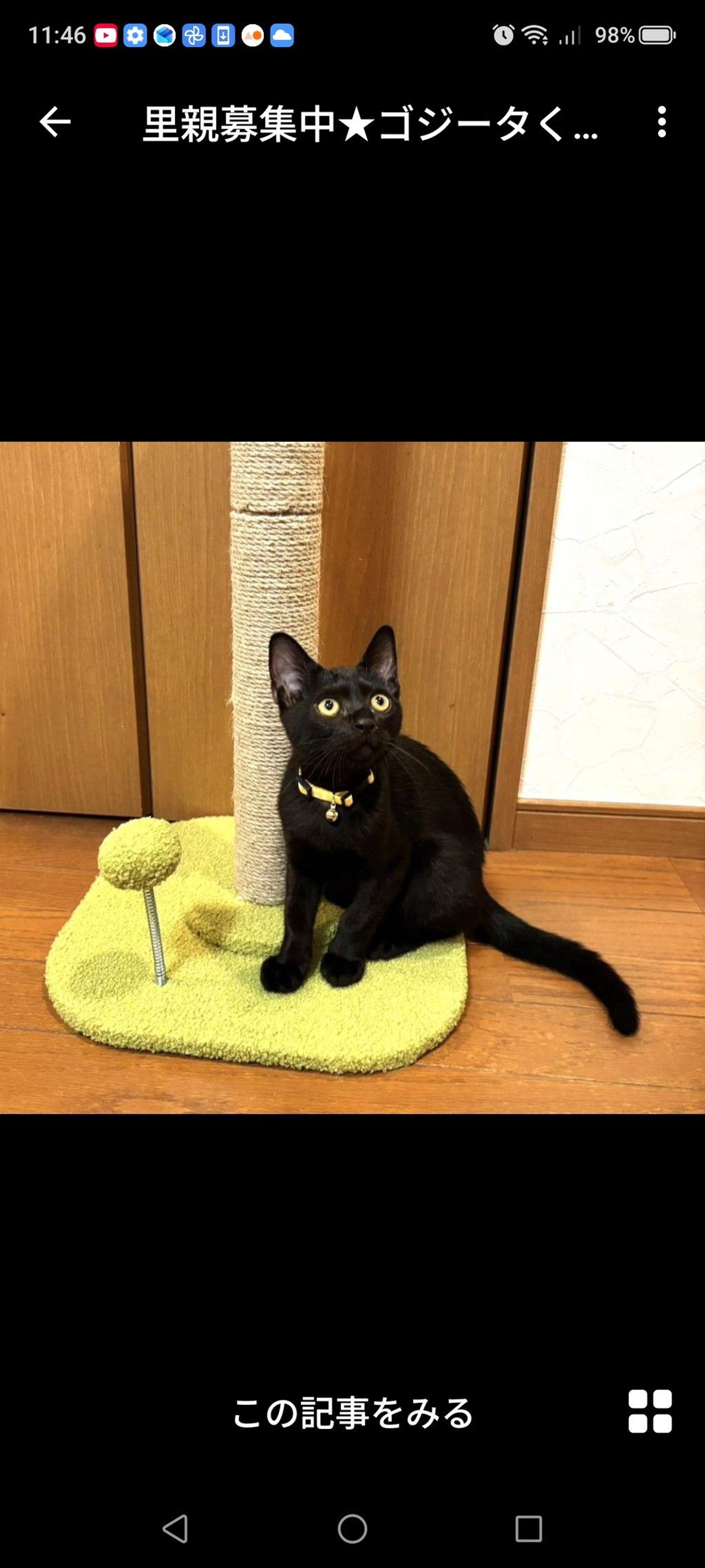 pet-image-3