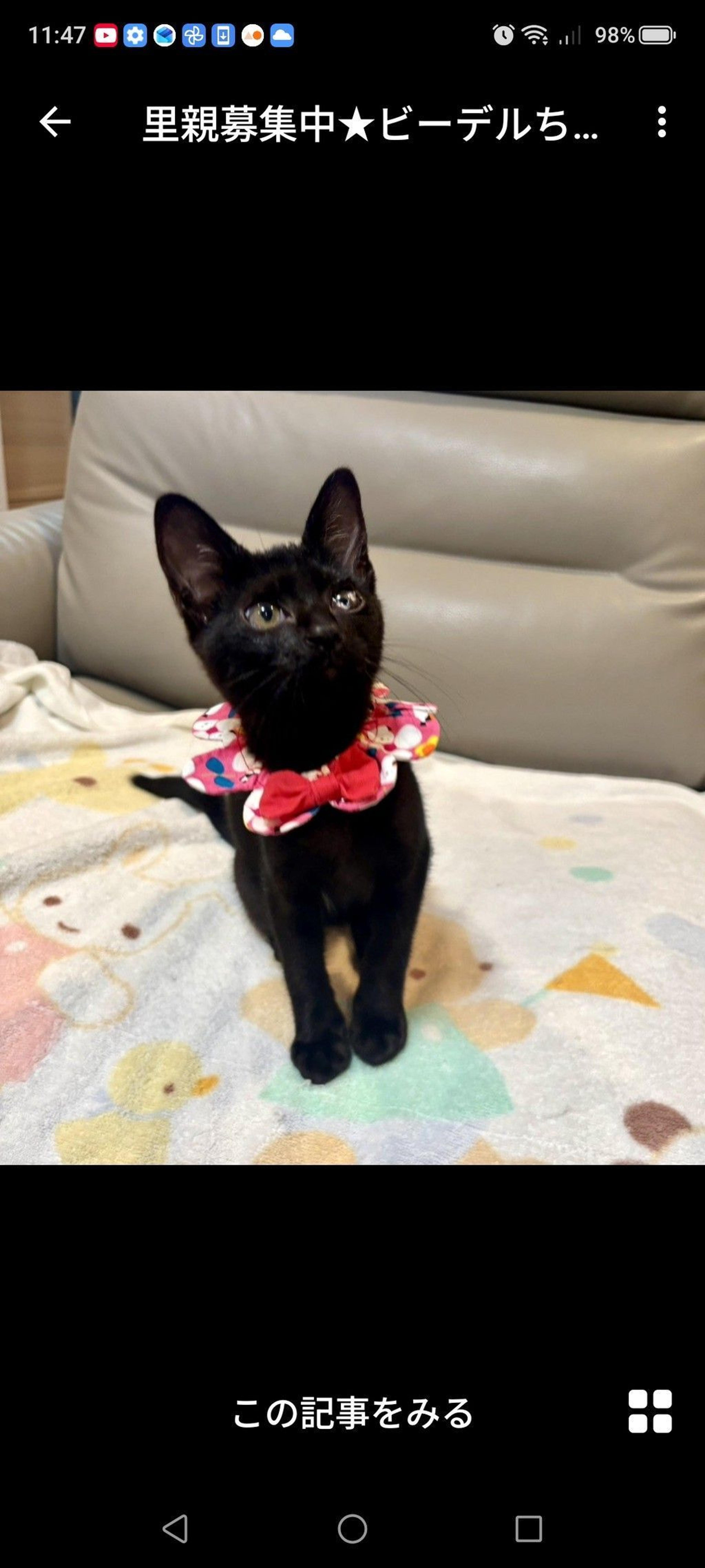 pet-image-2