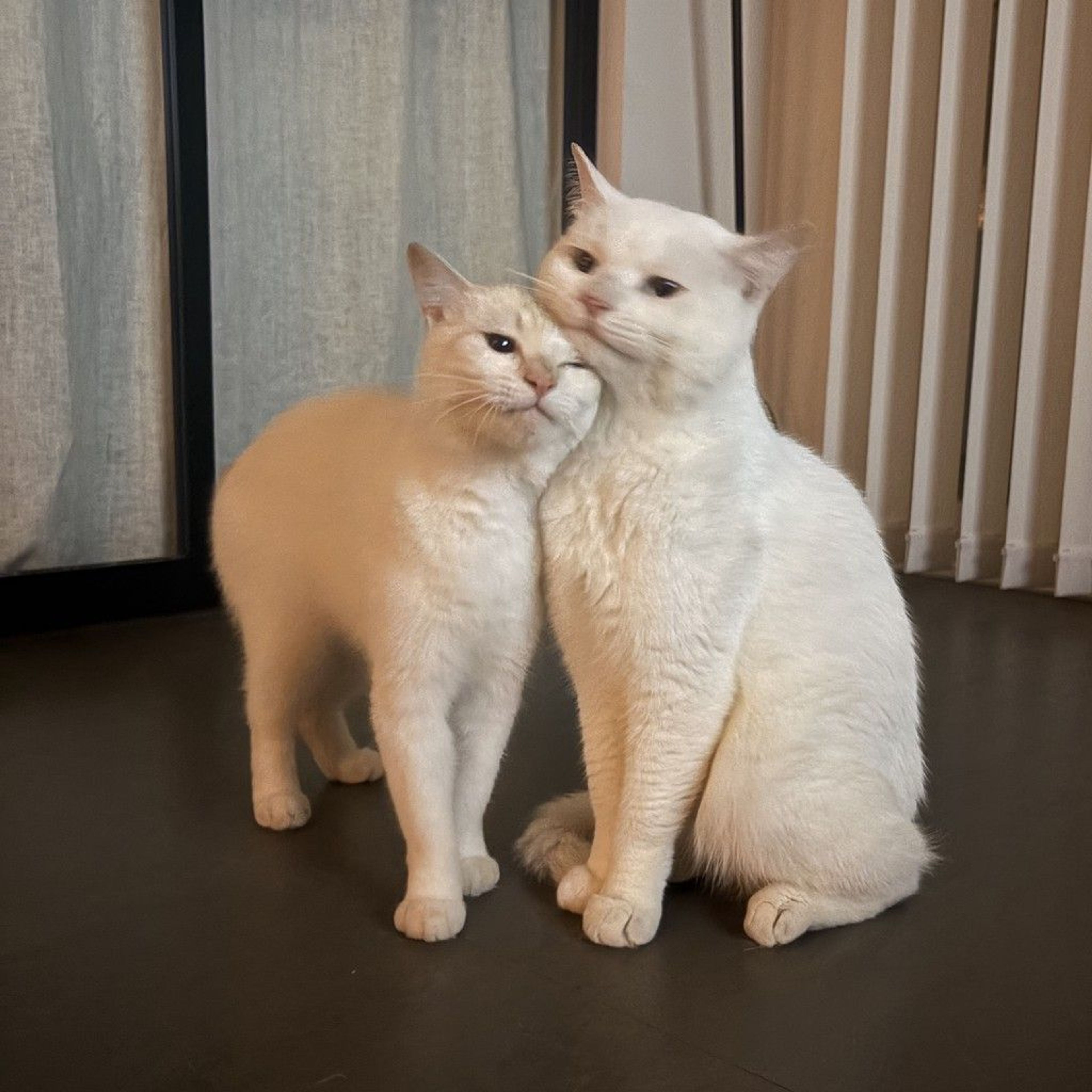 pet-image-3