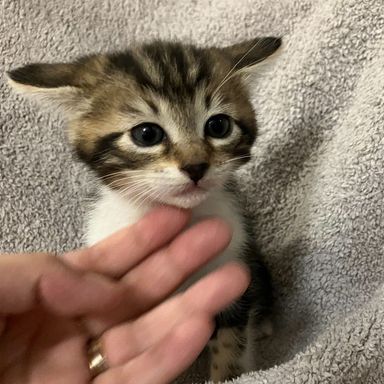 かい【みのりファミリー】の写真