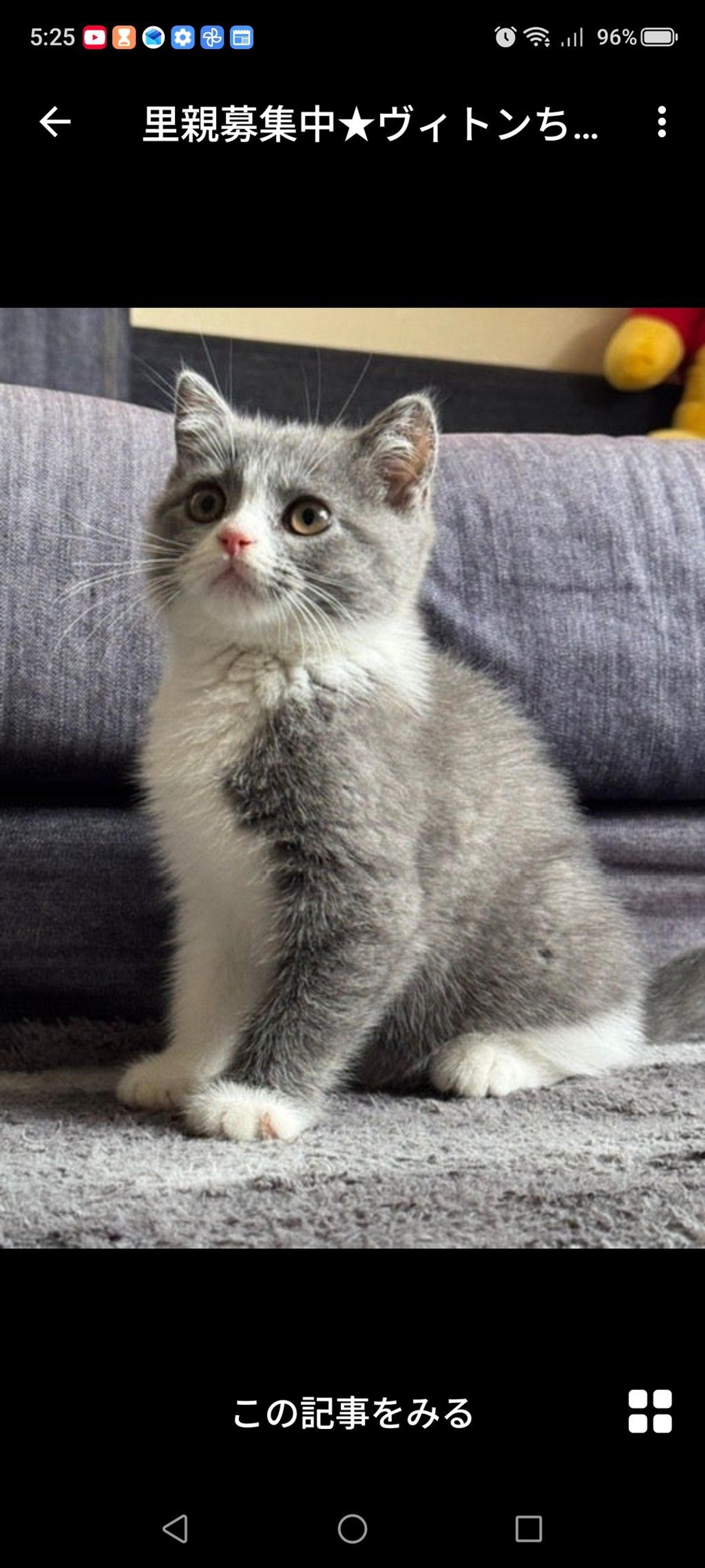 pet-image-2