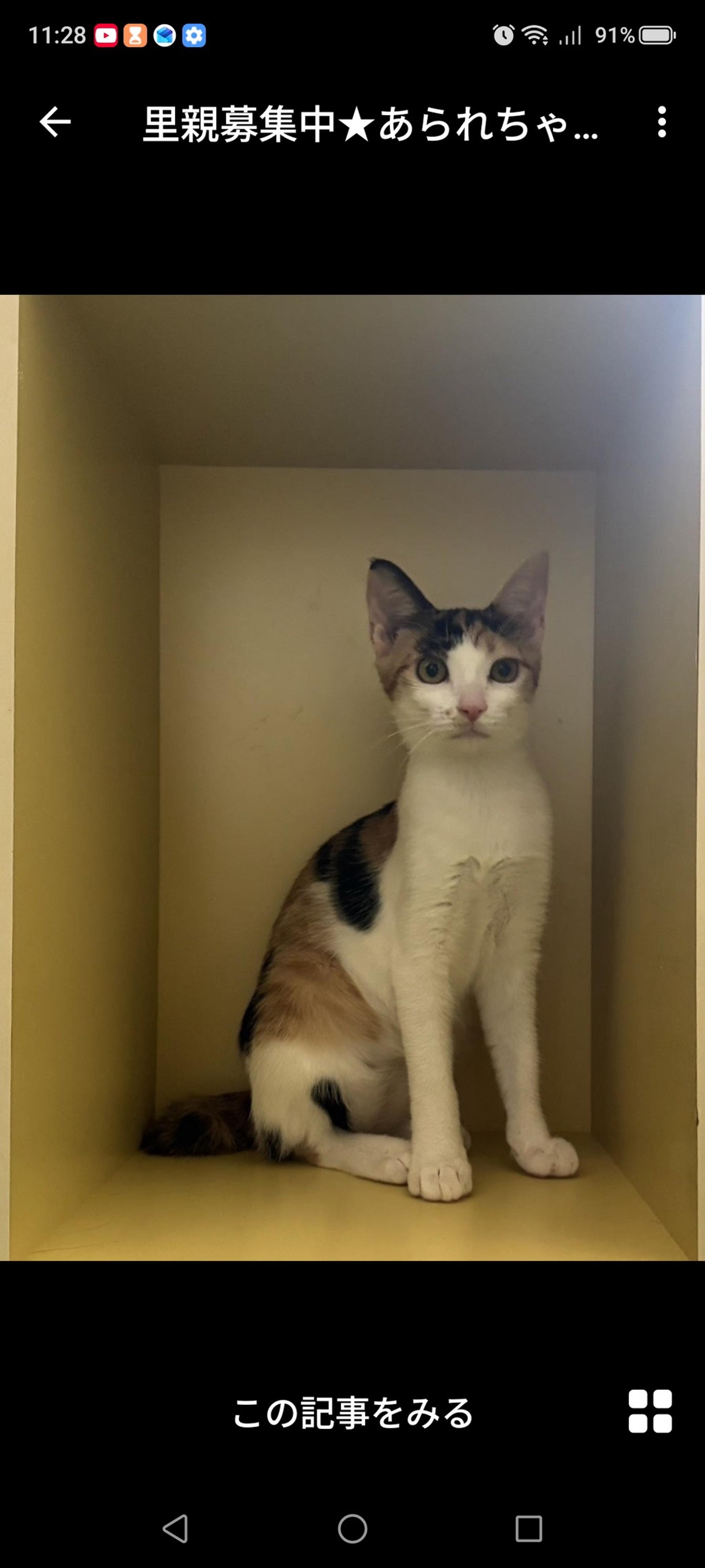 pet-image-3