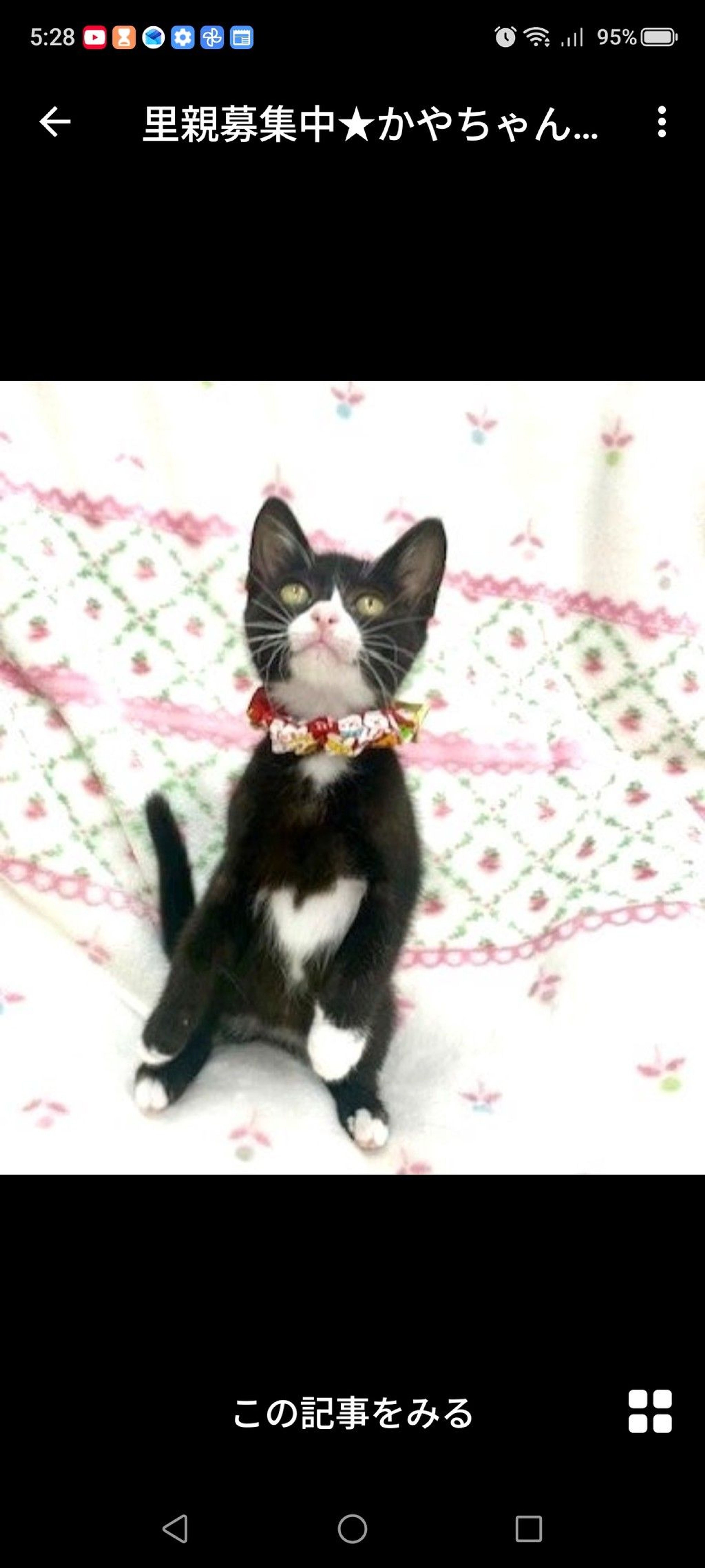 pet-image-2