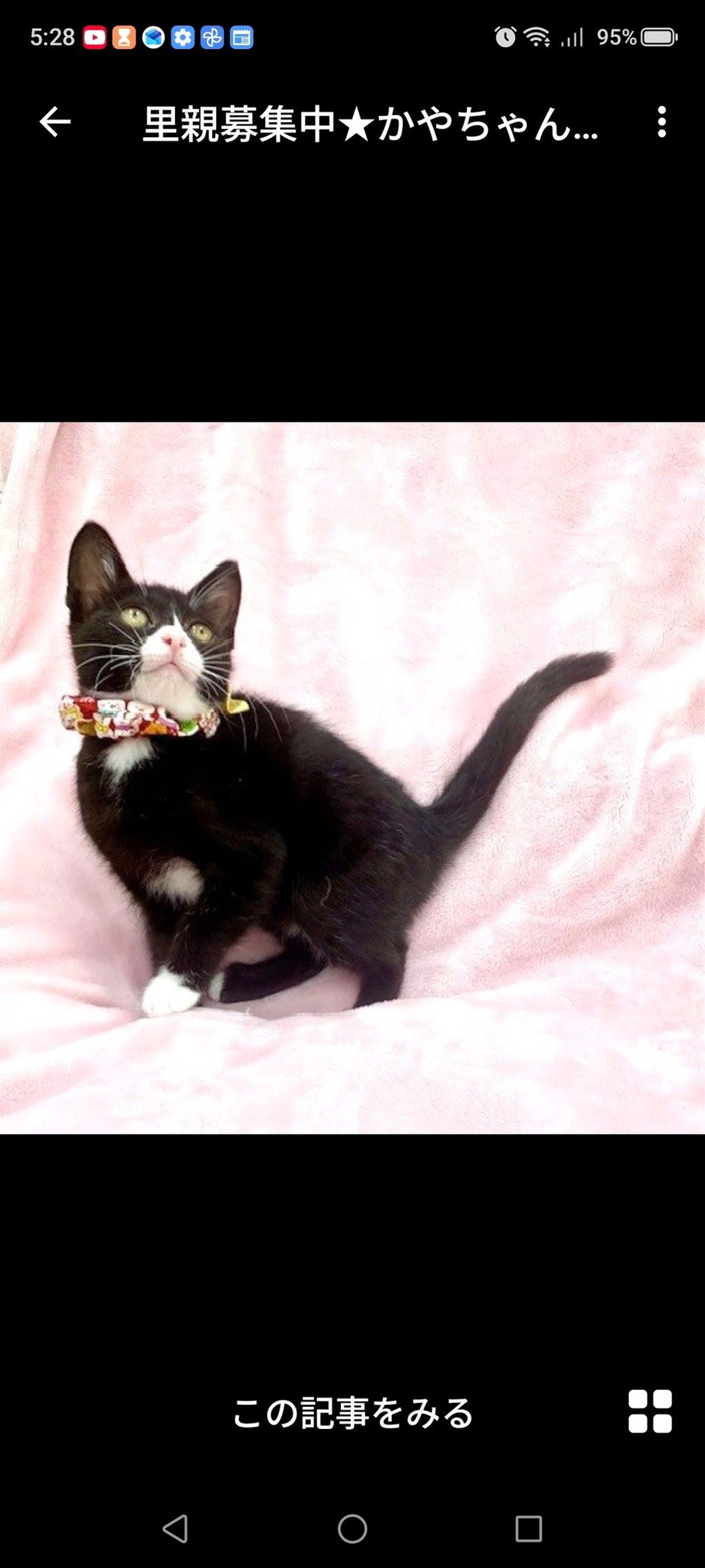 pet-image-3